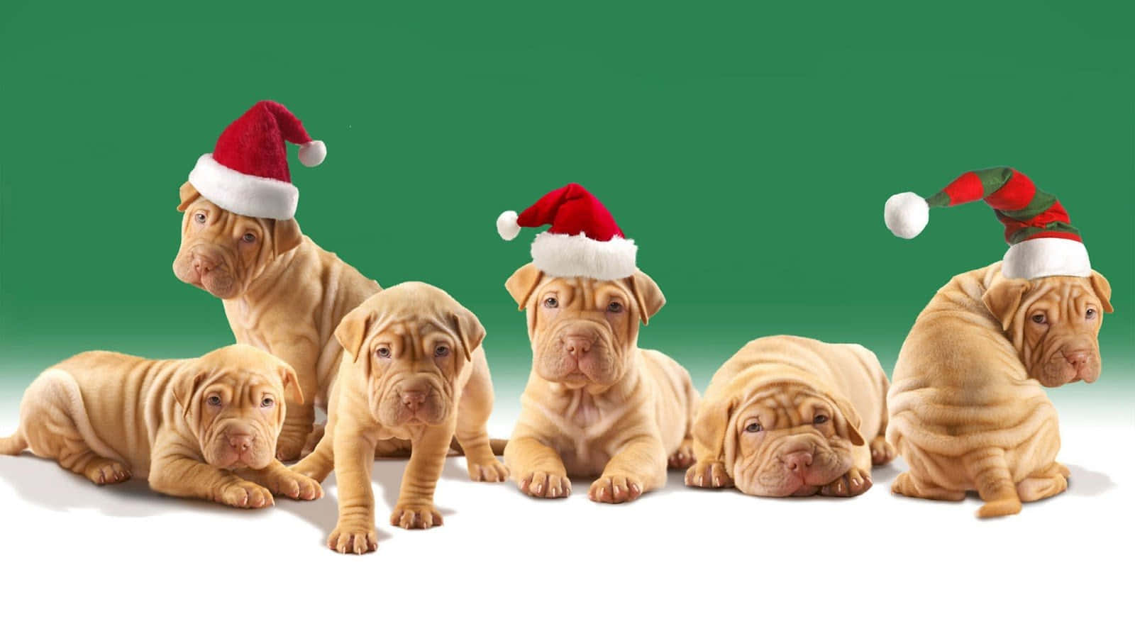 Santa Claus wa Kuchekesha Amekwama kwenye Bomba la Moshi Picha ya Ukuta