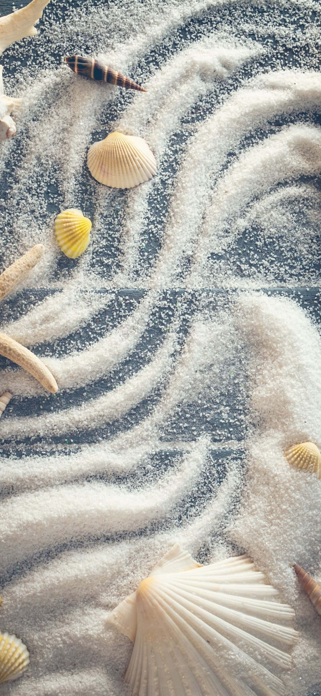 Seashells Na Poda Nyeupe iPhone X Summer Background Picha ya Ukuta