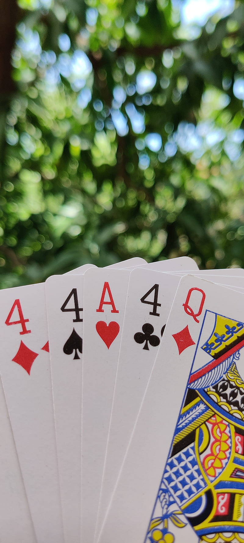 Set Of Five Rummy Playing Cards Picha ya Ukuta