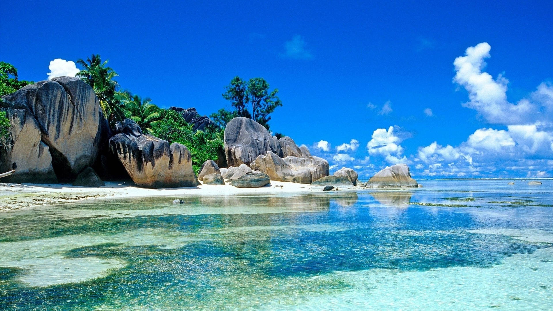 Seychelles Paradiso: Skrini ya Pwani Picha ya Ukuta