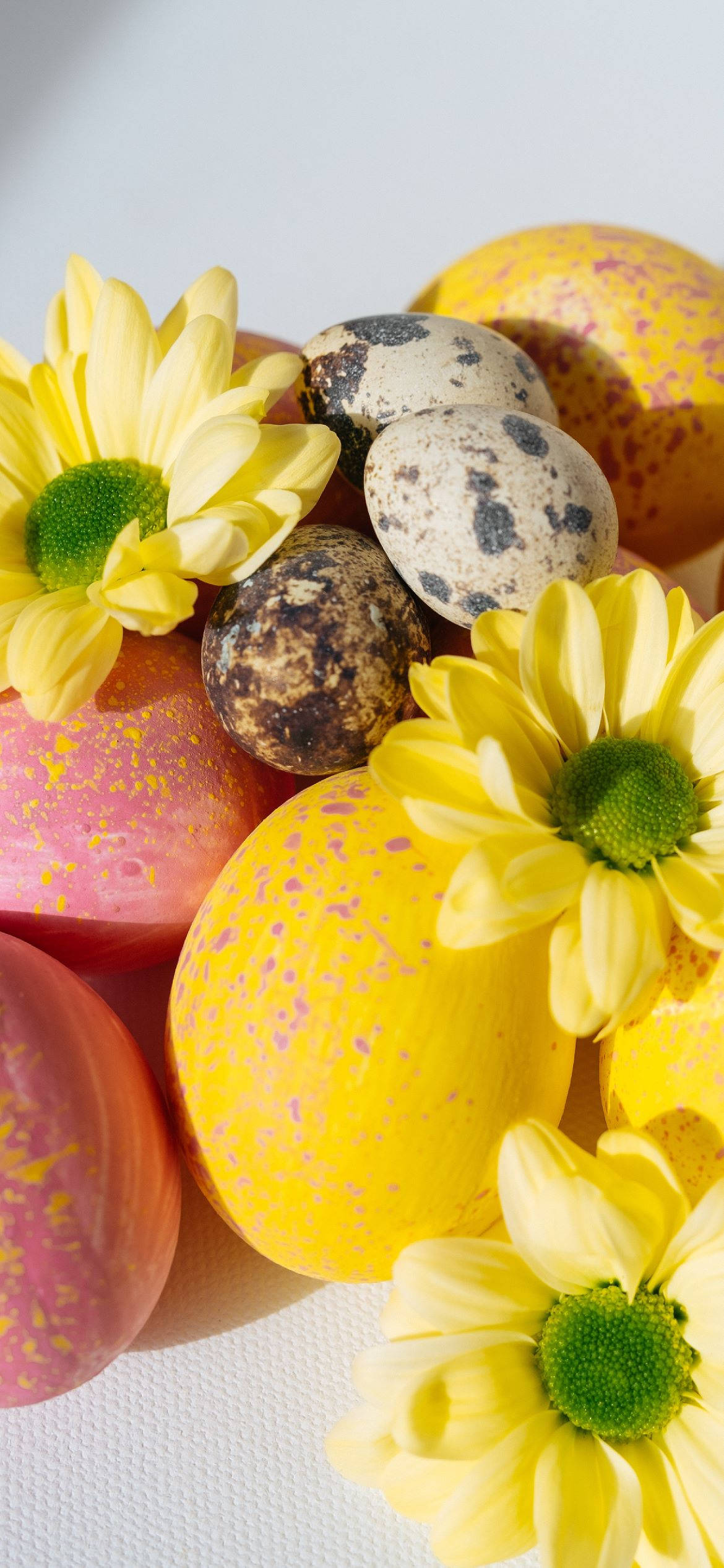 Sherehe Easter na Telefoni Yako Picha ya Ukuta