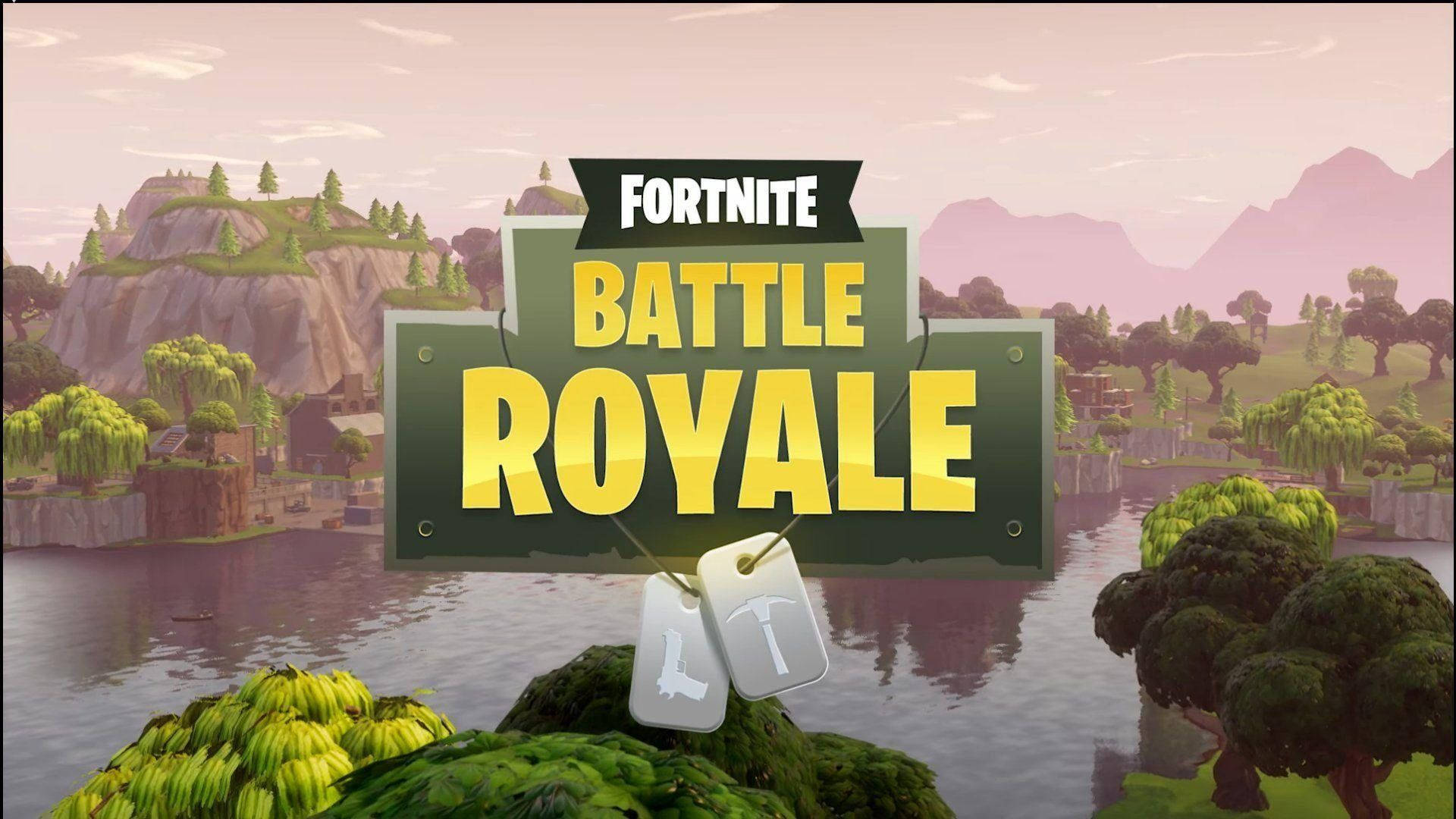 Shinda vita kwa Fortnite Picha ya Ukuta