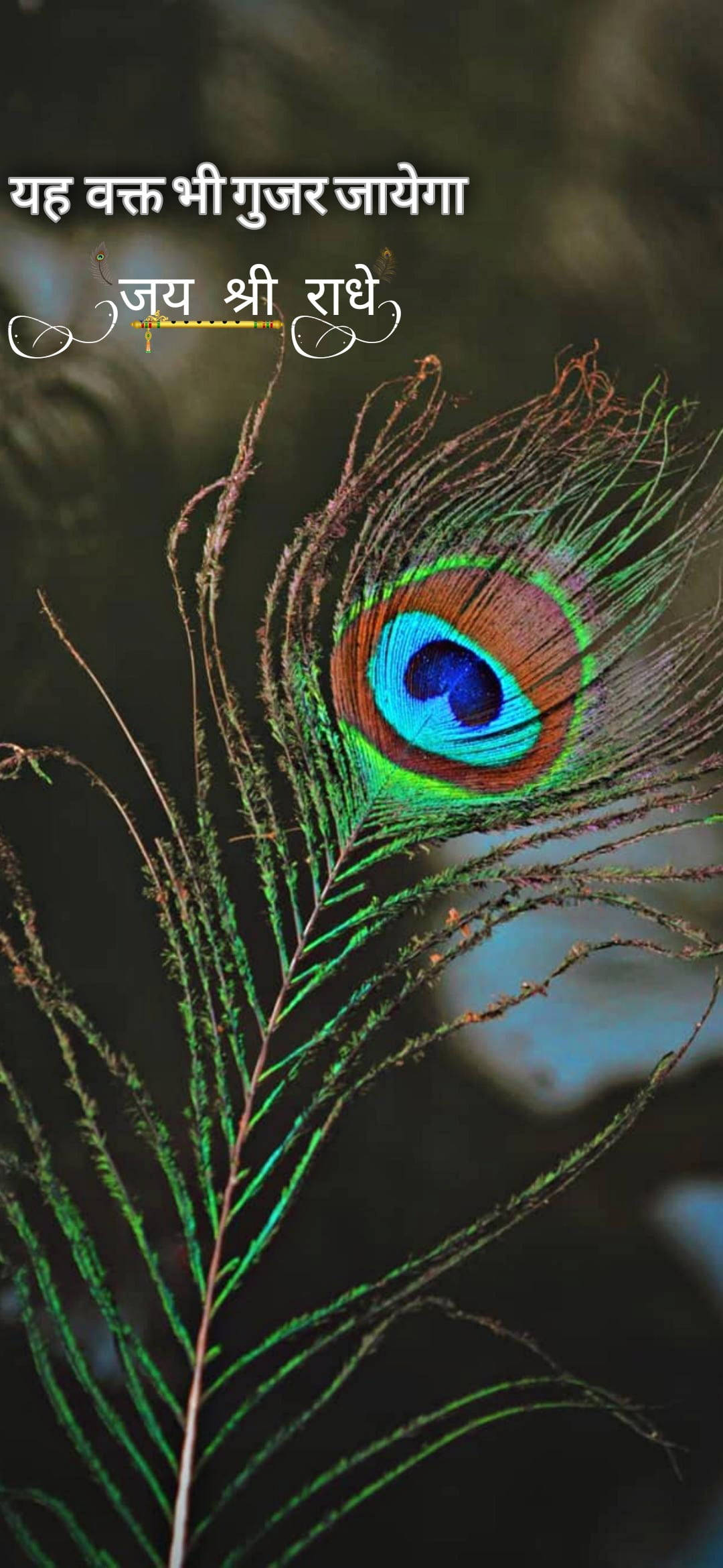 Shree Ram Peacock Feather Picha ya Ukuta