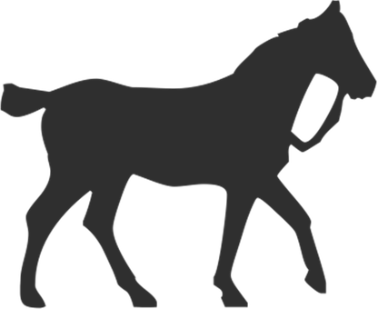 Silhouette ya Farasi Akitembea Picha ya Ukuta