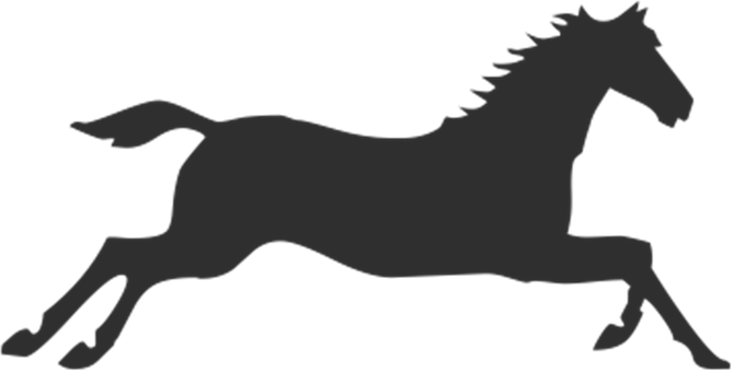 Silhouette ya Farasi Anayegallop Picha ya Ukuta
