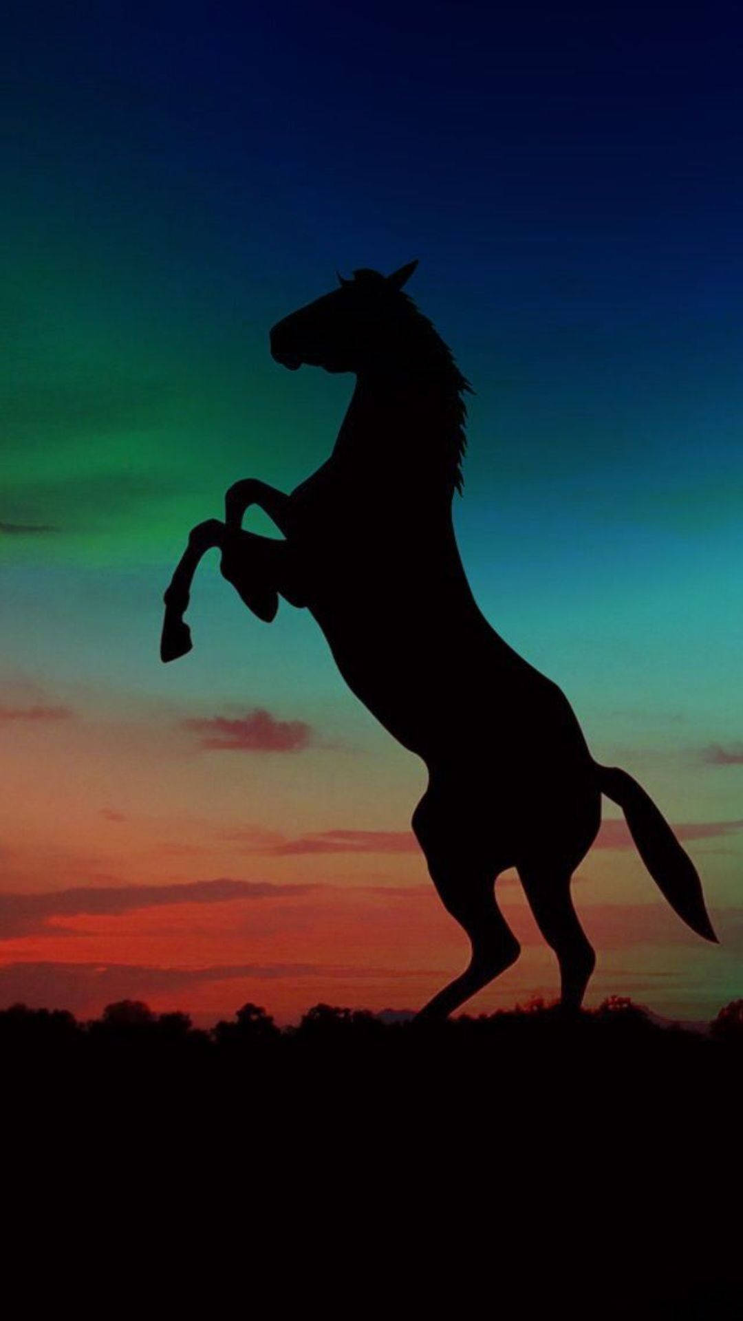 Silhouette ya Farasi Mzuri Picha ya Ukuta