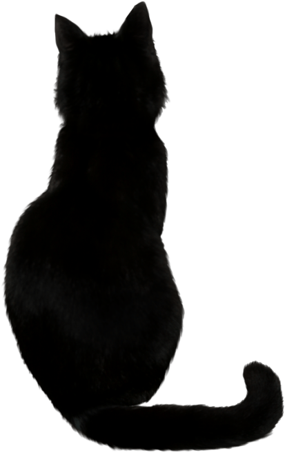 Silhouette ya Kitu Mweusi Picha ya Ukuta