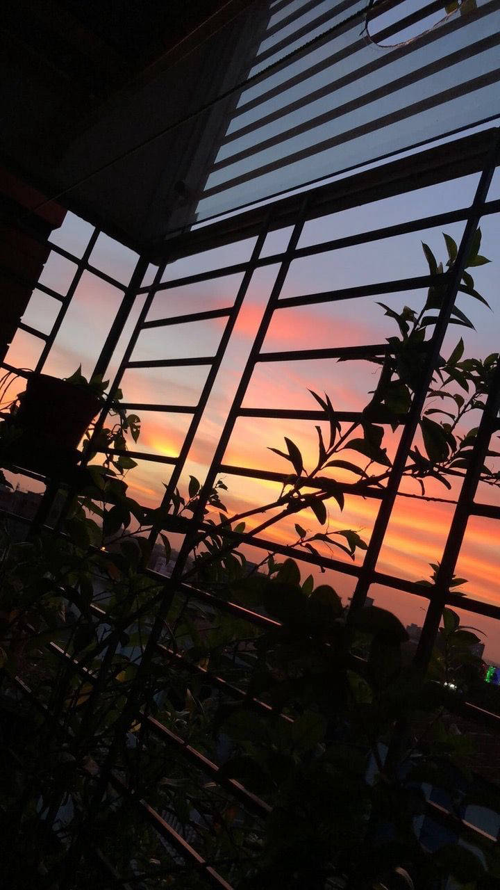 Silhouette ya Kupendeza kwa iPhone Picha ya Ukuta