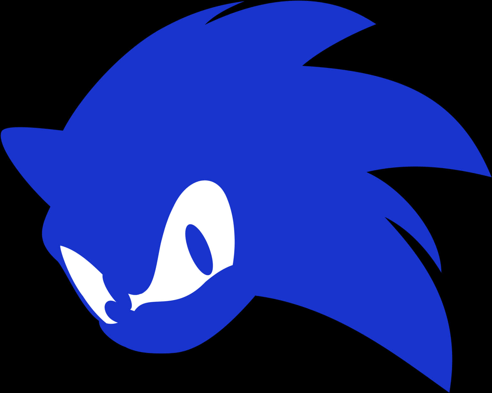Silhouette ya Shujaa wa Hedgehog Buluu Picha ya Ukuta