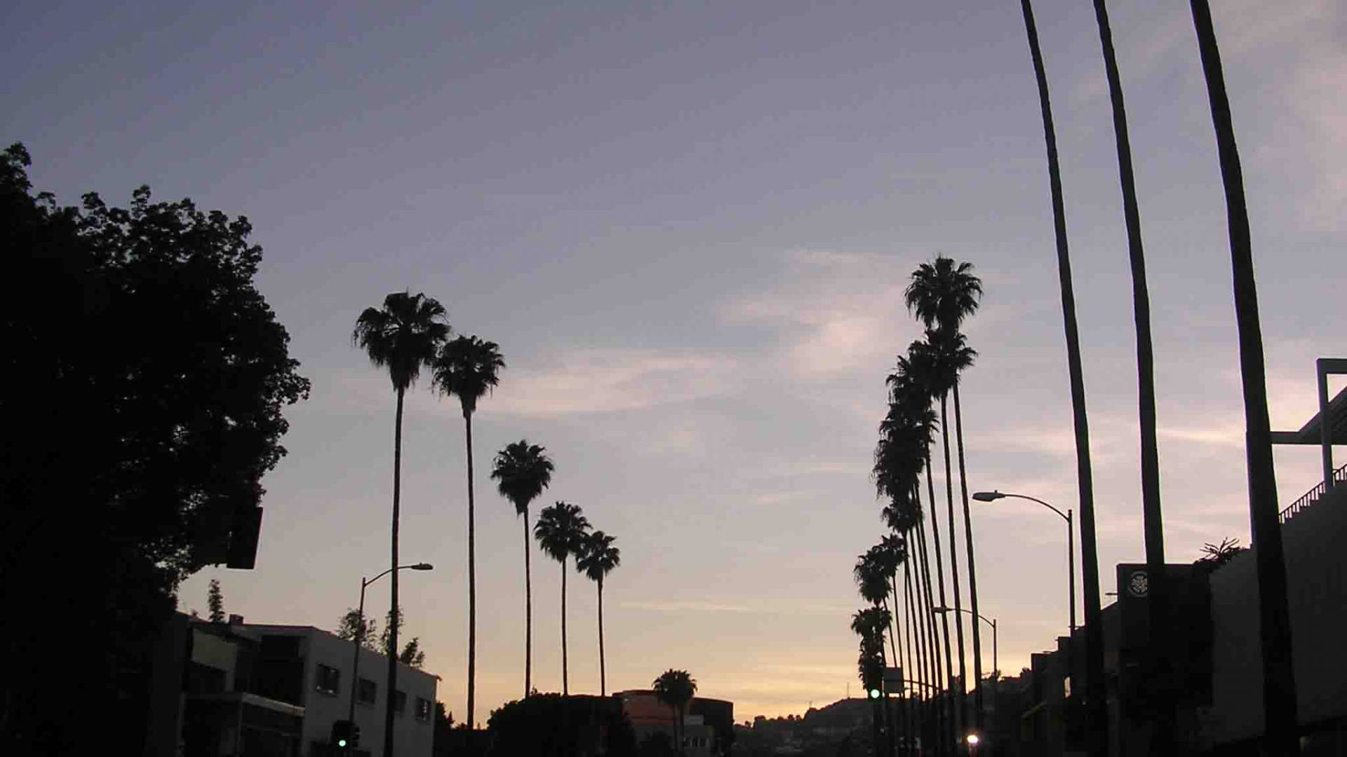 Silhouette ya Sunset Boulevard Picha ya Ukuta