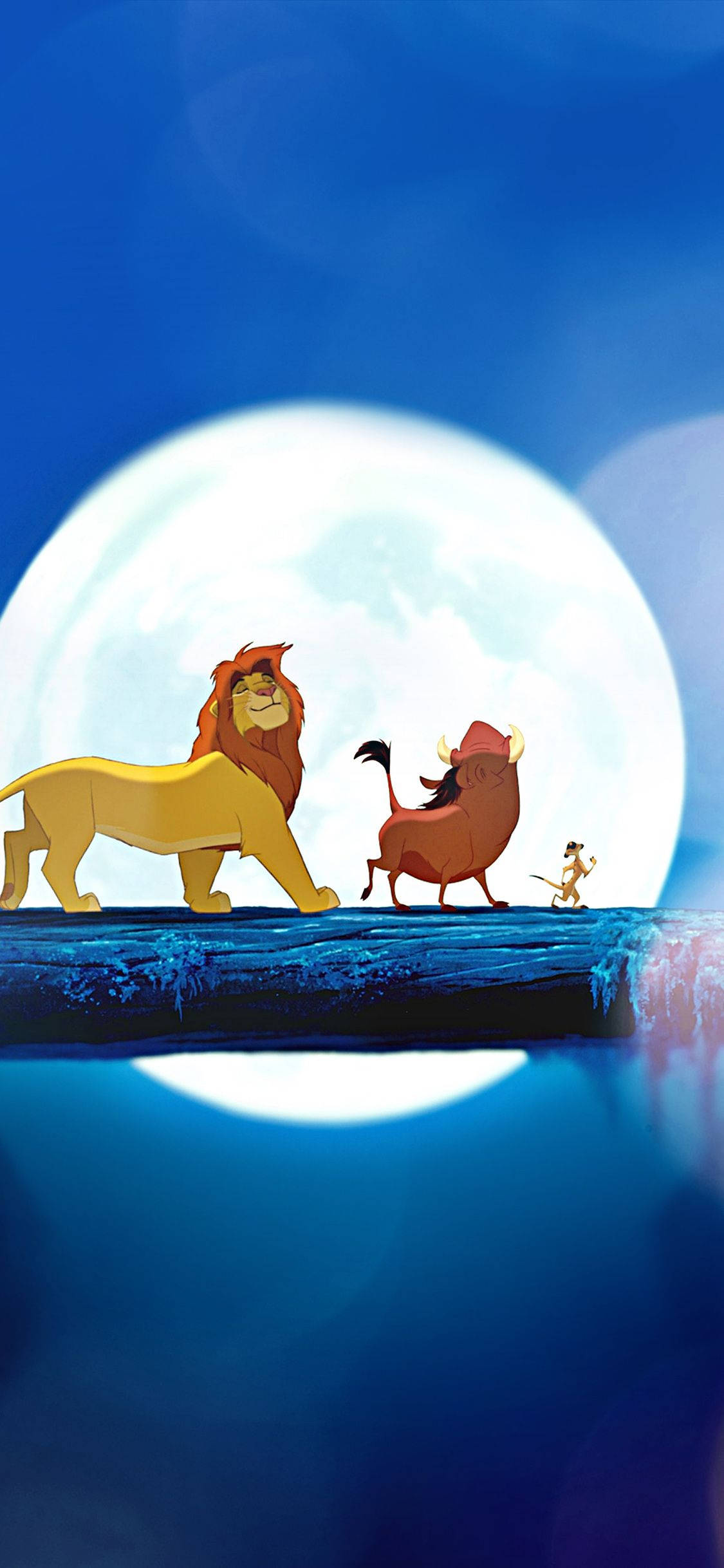 Simba akitazama macheo juu ya savanna Picha ya Ukuta