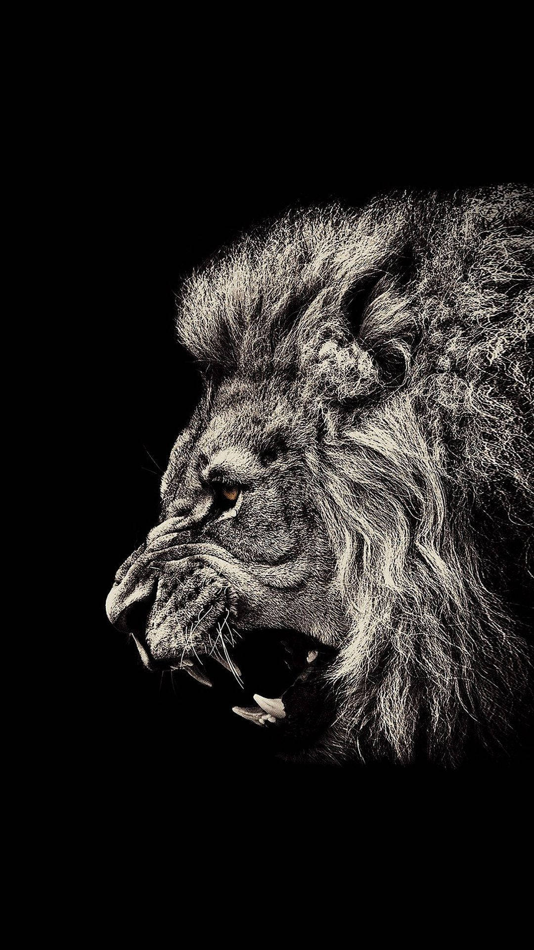 Simba Mkali Sanaa ya iPhone Picha ya Ukuta