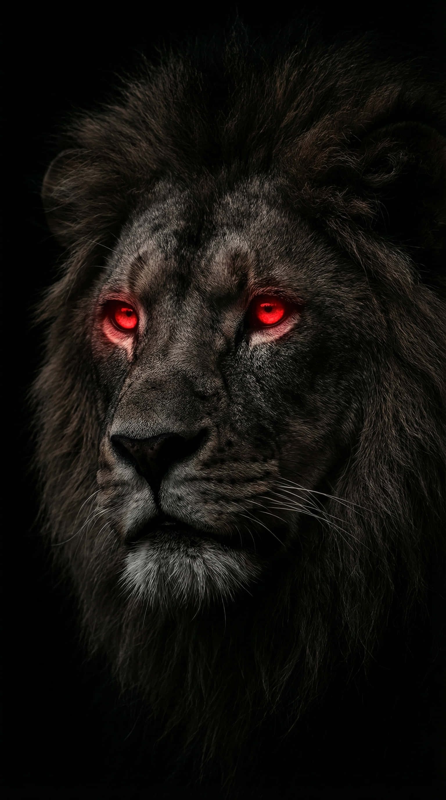 Simba Mwenye Macho Nyekundu Yanayomwangaza 4K Wallpaper Picha ya Ukuta