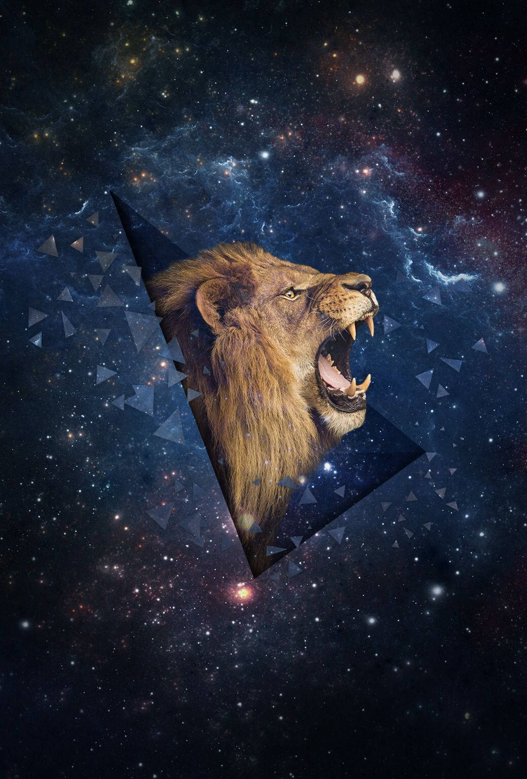 Simba wa 3D Galaxy Picha ya Ukuta
