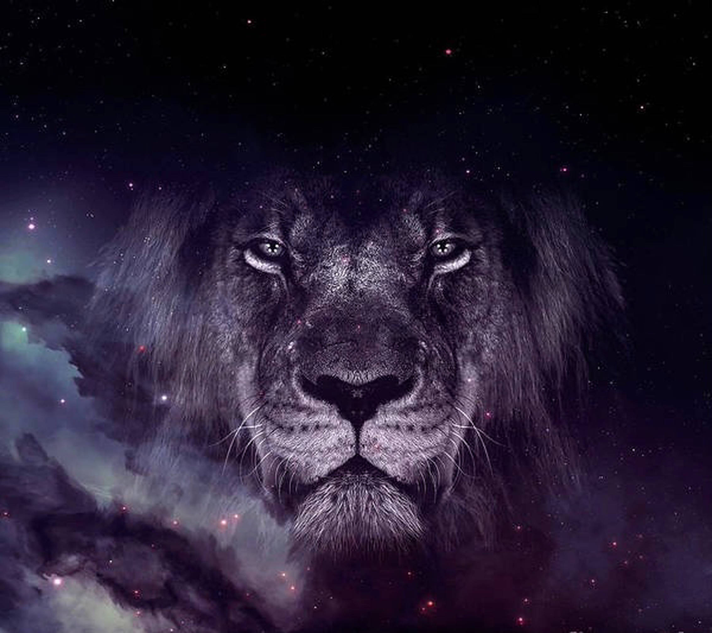 Simba wa Galaxy Monochrome Picha ya Ukuta