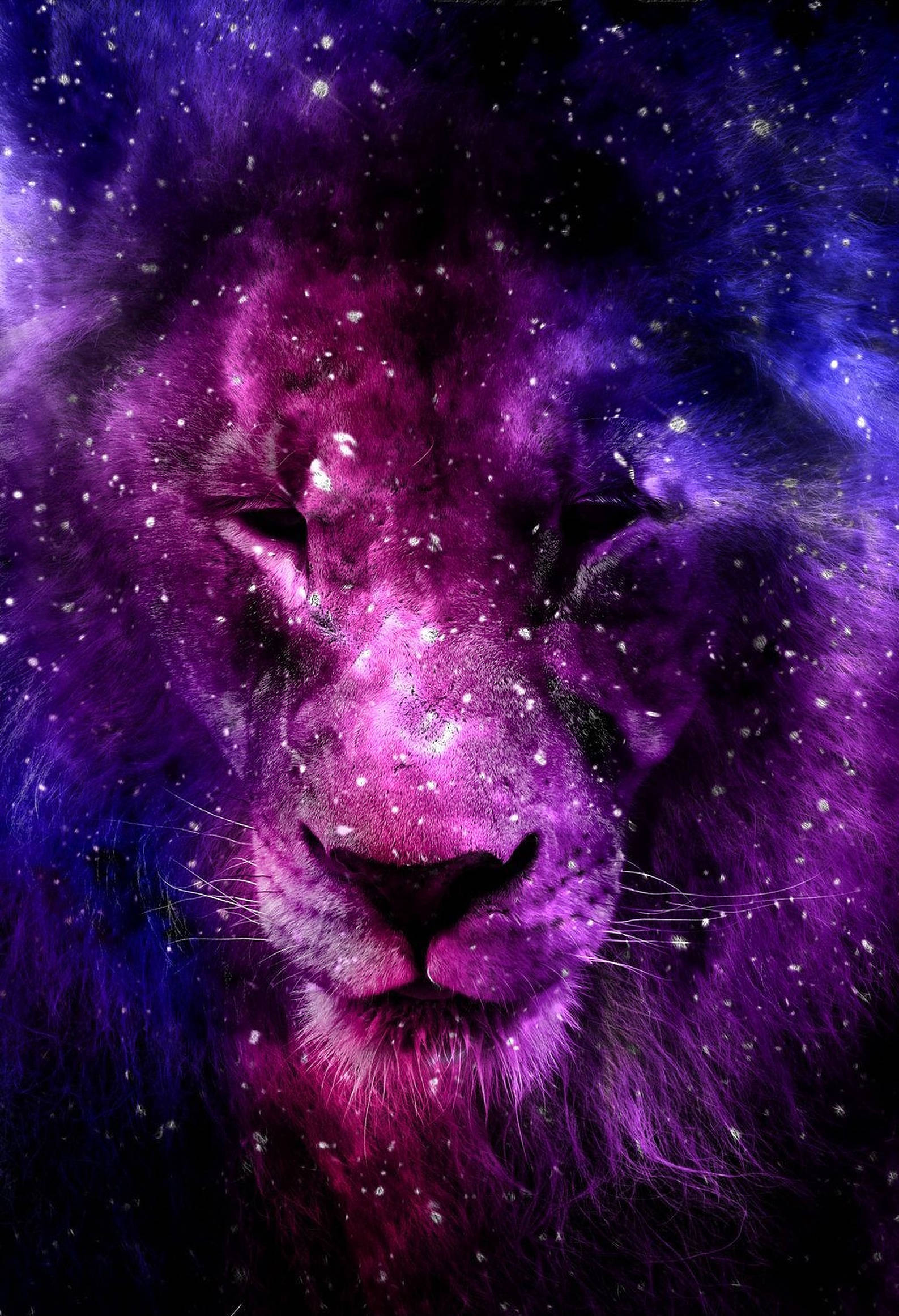 Simba wa Galaxy Tukufu katika Mteremko wa Waridi na Zambarau Picha ya Ukuta