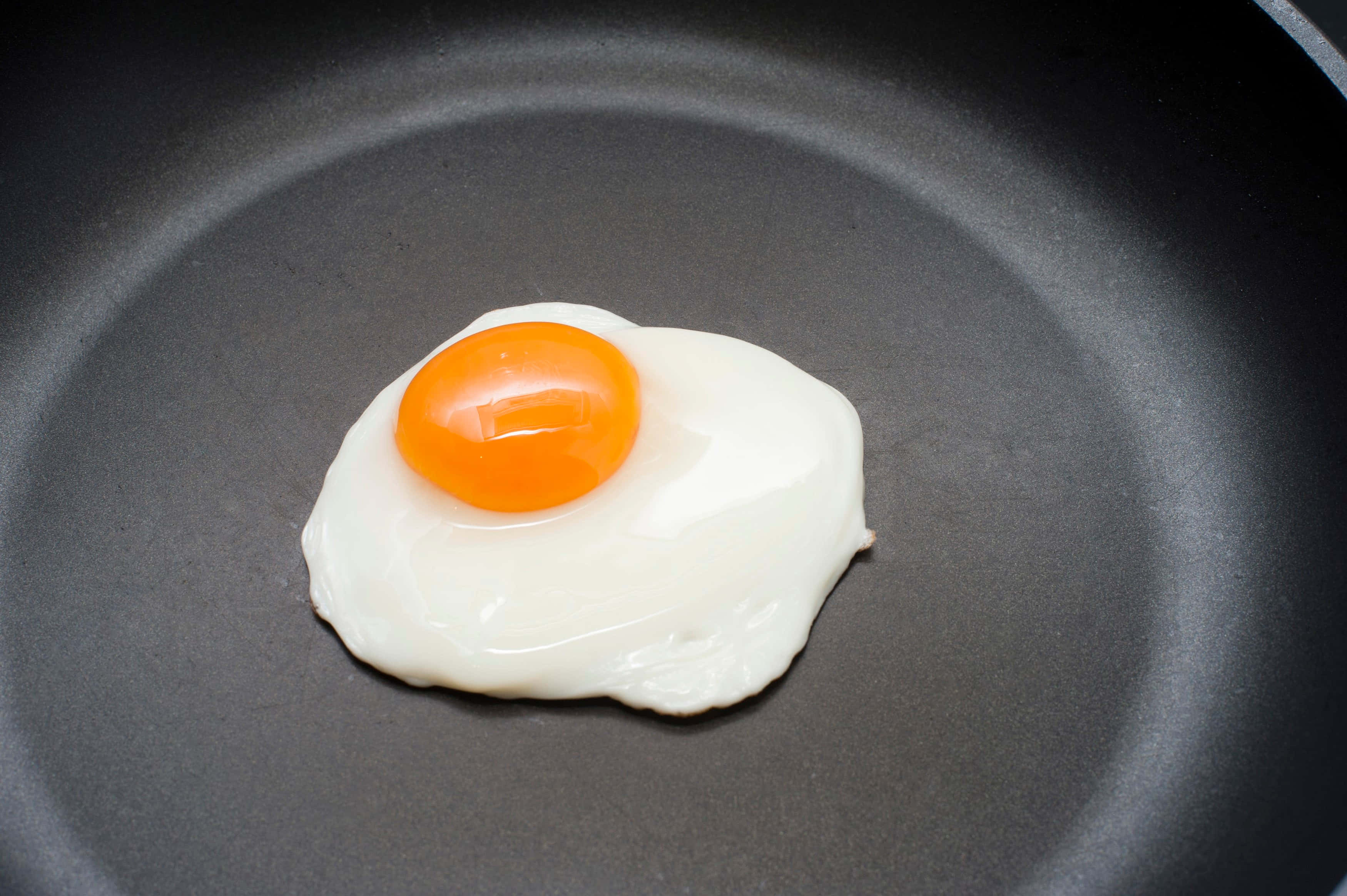 Simple Joy of Egg Picha ya Ukuta