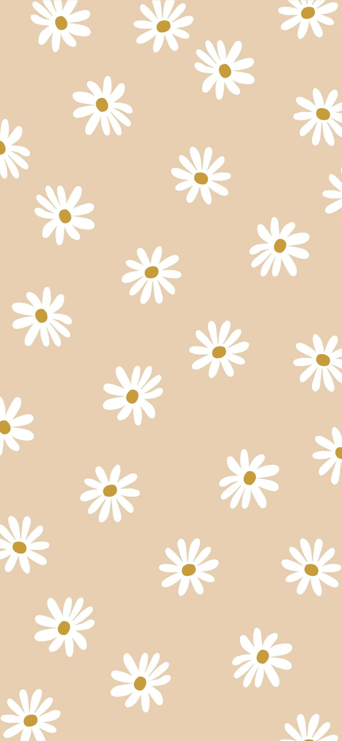 Simu ya Rangi ya Beige yenye Maua ya Daisy Picha ya Ukuta