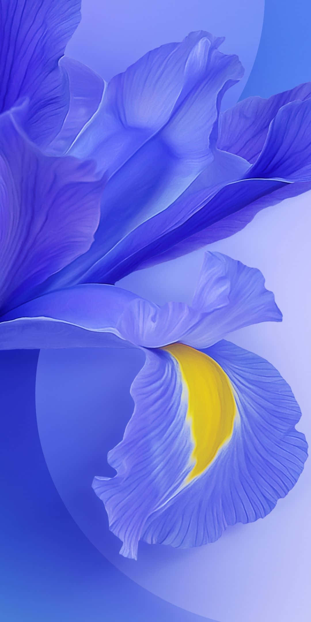 Simu ya Xiaomi ya Kisasa yenye Mandharinyuma ya Gradient Picha ya Ukuta
