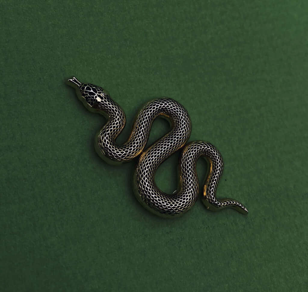 Siri, Sihir ya Kale ya Slytherin Aesthetic Picha ya Ukuta