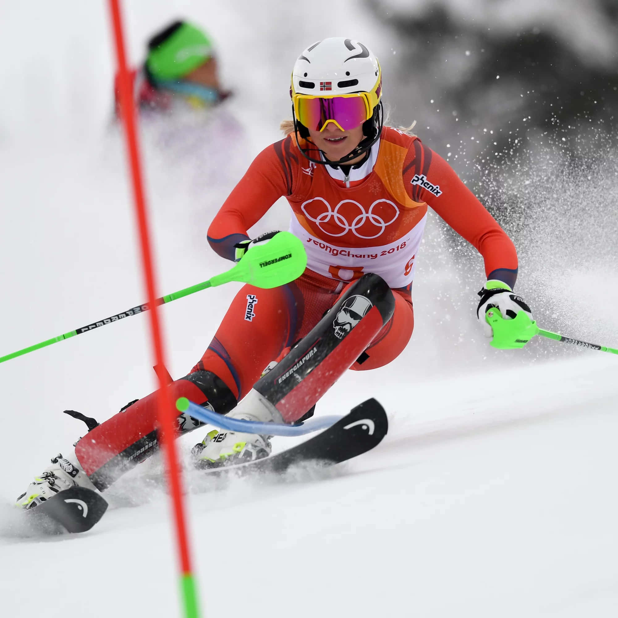 Ski Kama Wataalamu Picha ya Ukuta