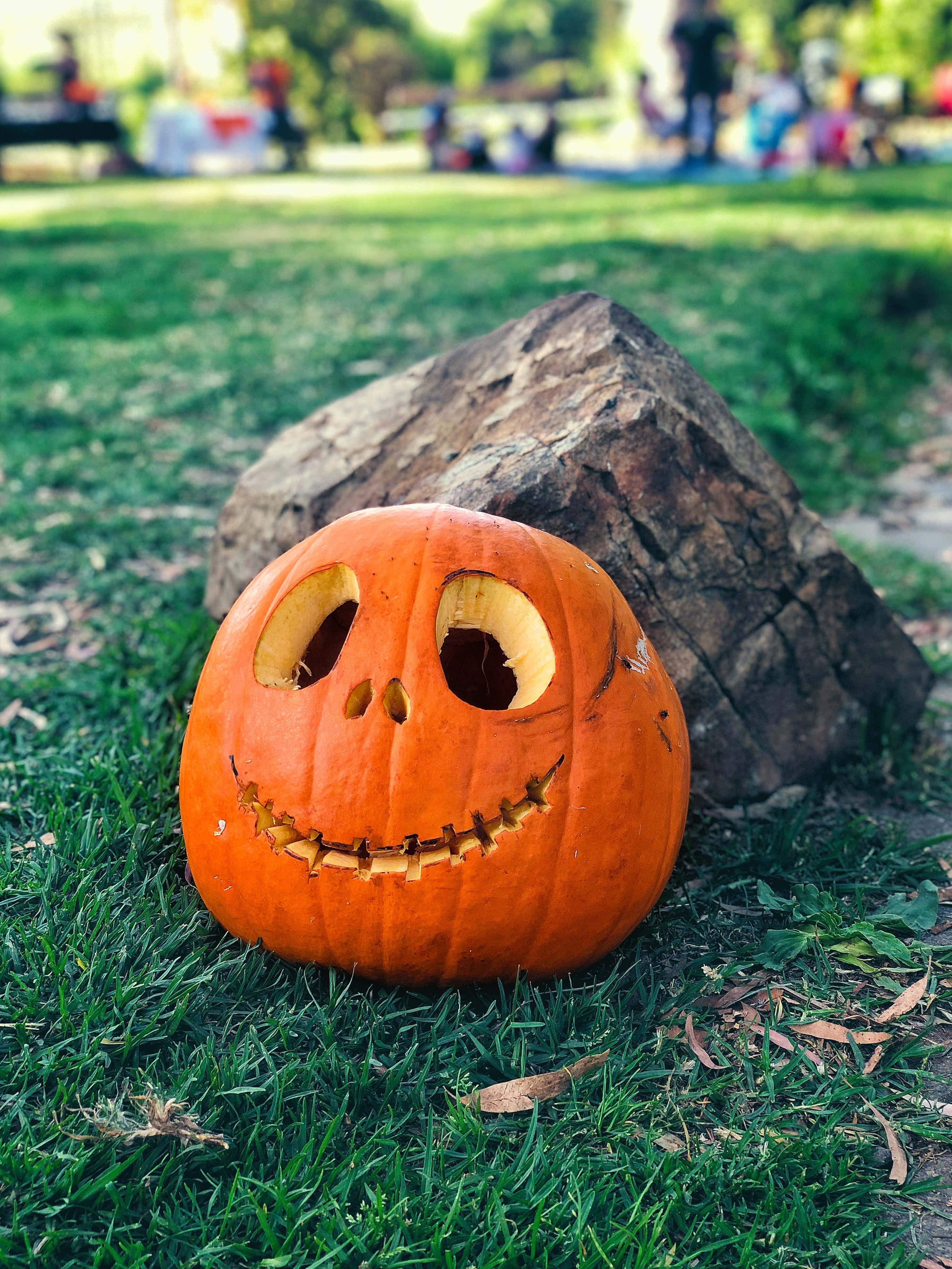 Smiling Jack-O-Lantern ya Kichwa cha Juu cha Halloween Picha ya Ukuta