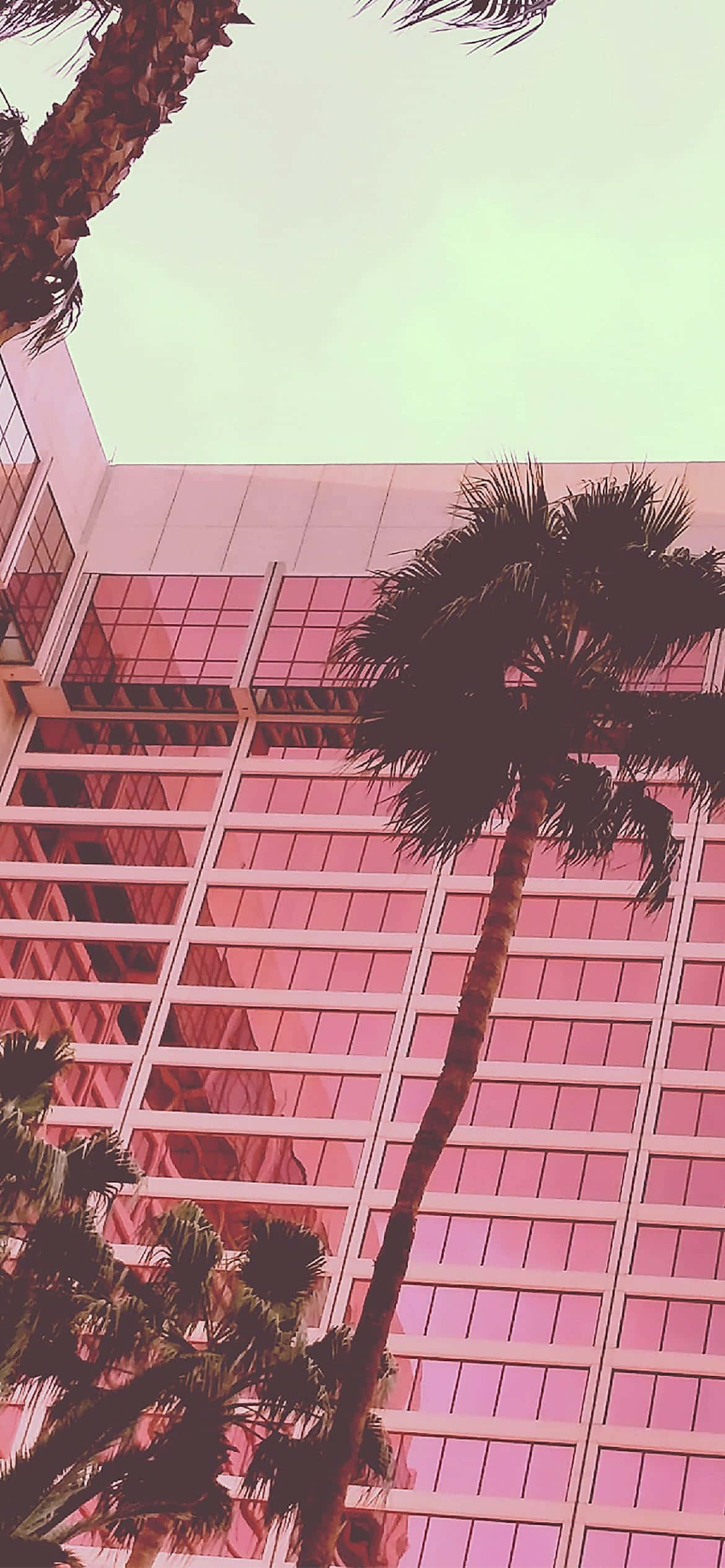 Soft and Sweet Aesthetic Baby Pink Picha ya Ukuta