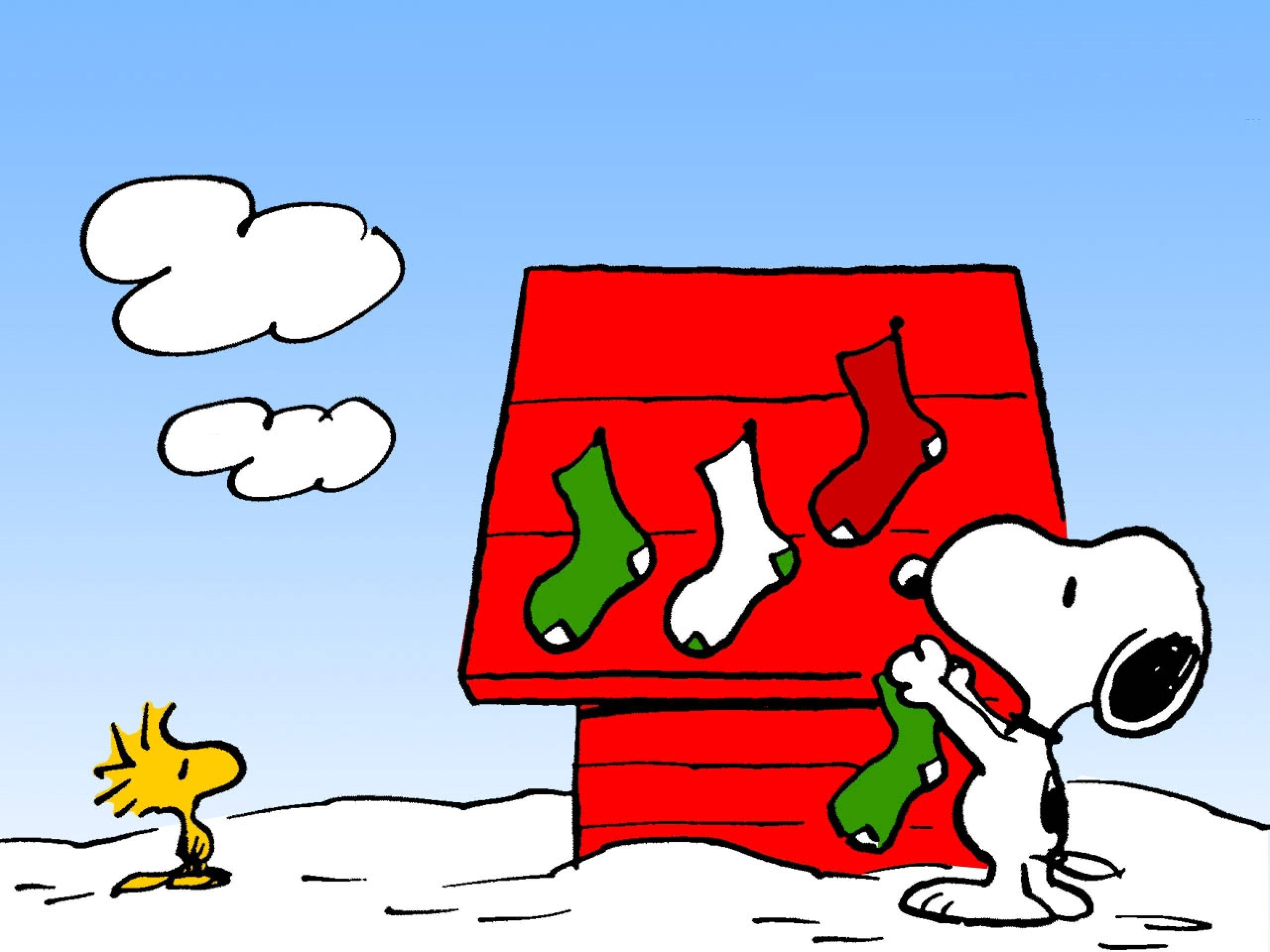 Soksi za Krismasi za Snoopy Picha ya Ukuta