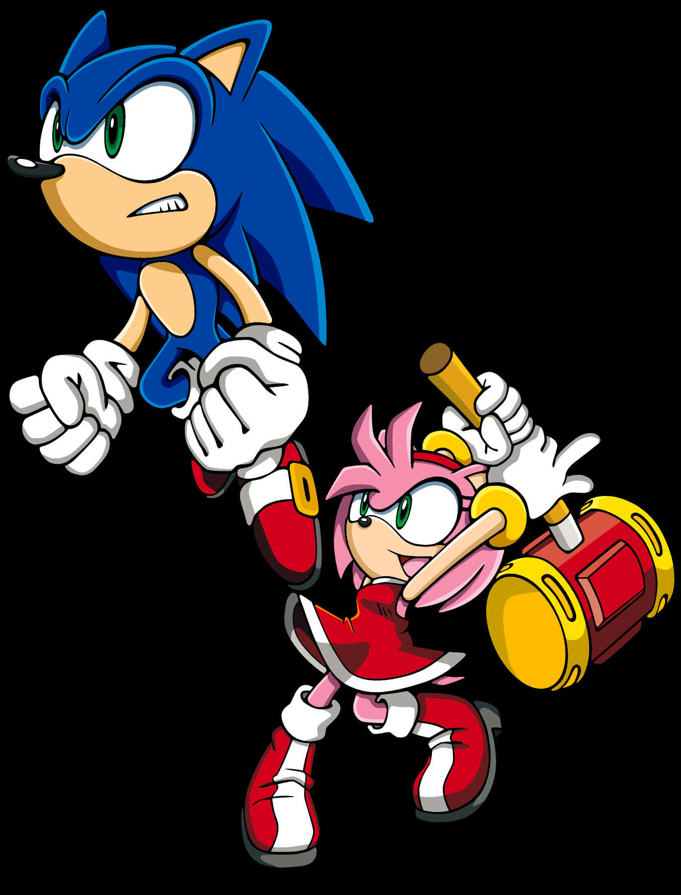 Sonic na Amy Rose Wahusika Picha ya Ukuta