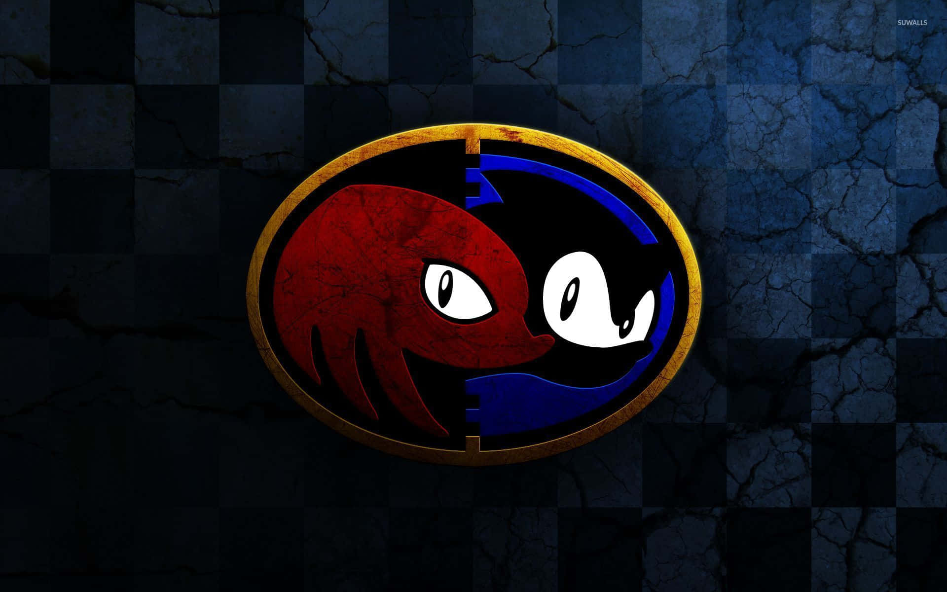 Sonic na Knuckles kwenye Ubao wa Damu Picha ya Ukuta
