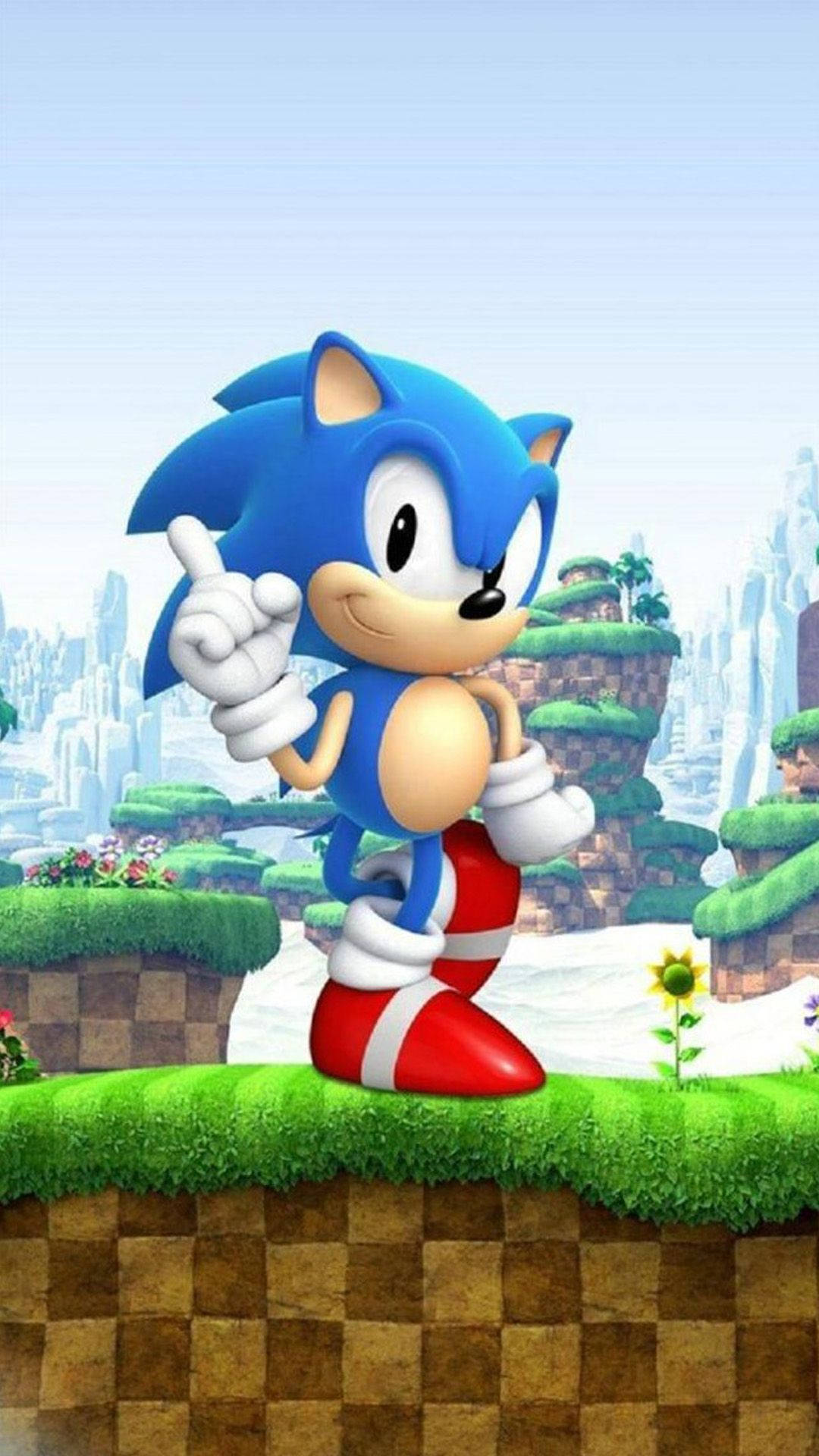 Sonic Shujaa wa Kujitosa Picha ya Ukuta