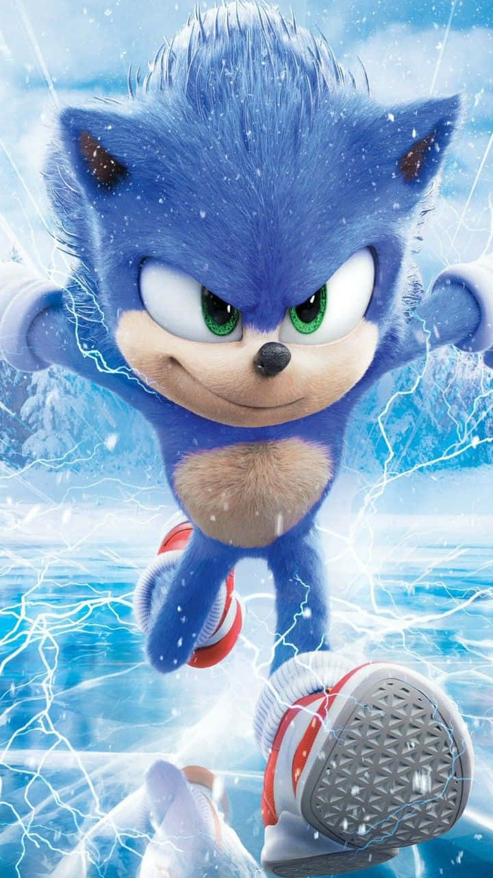Sonic the Hedgehog - Kukimbilia Mstari wa Mwisho Picha ya Ukuta
