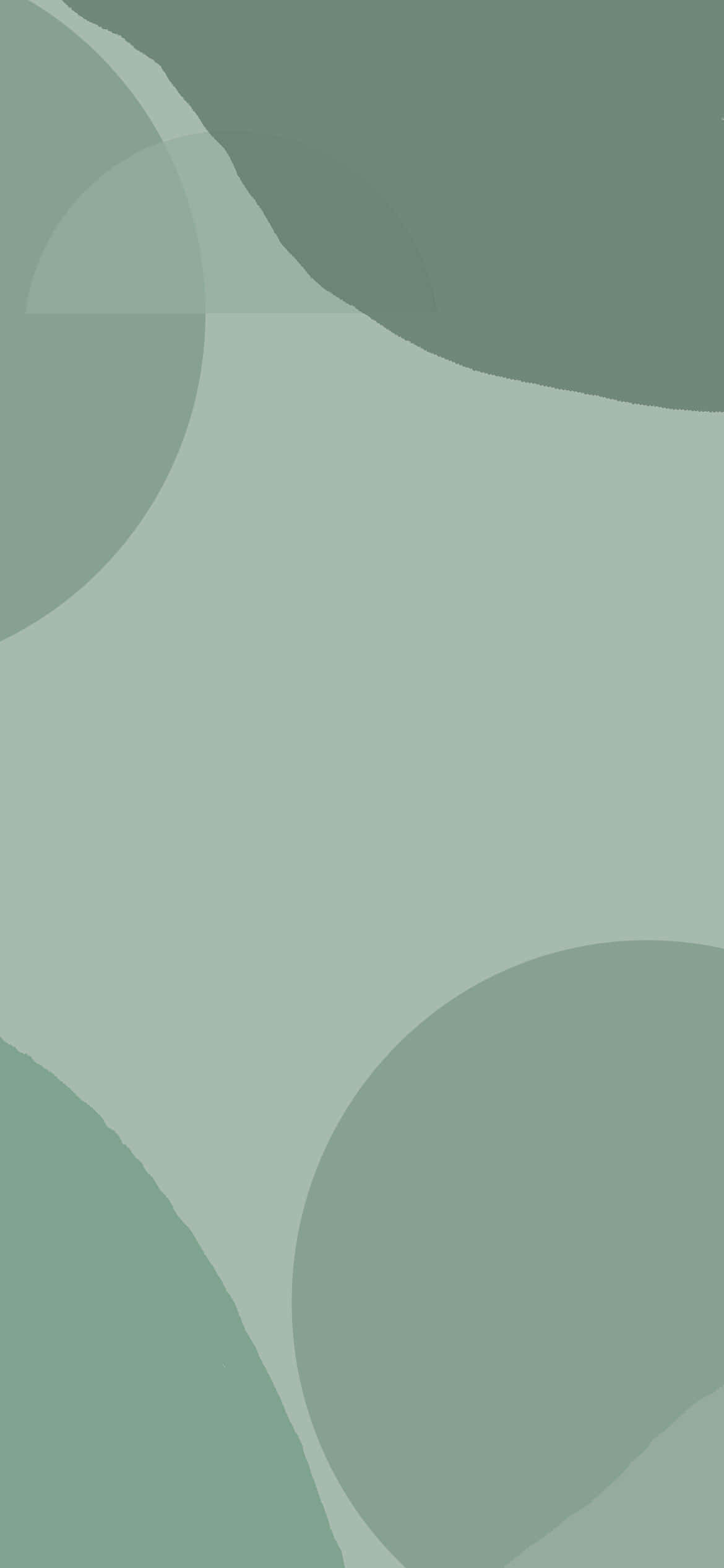Soothing Sage Green Aesthetic Picha ya Ukuta