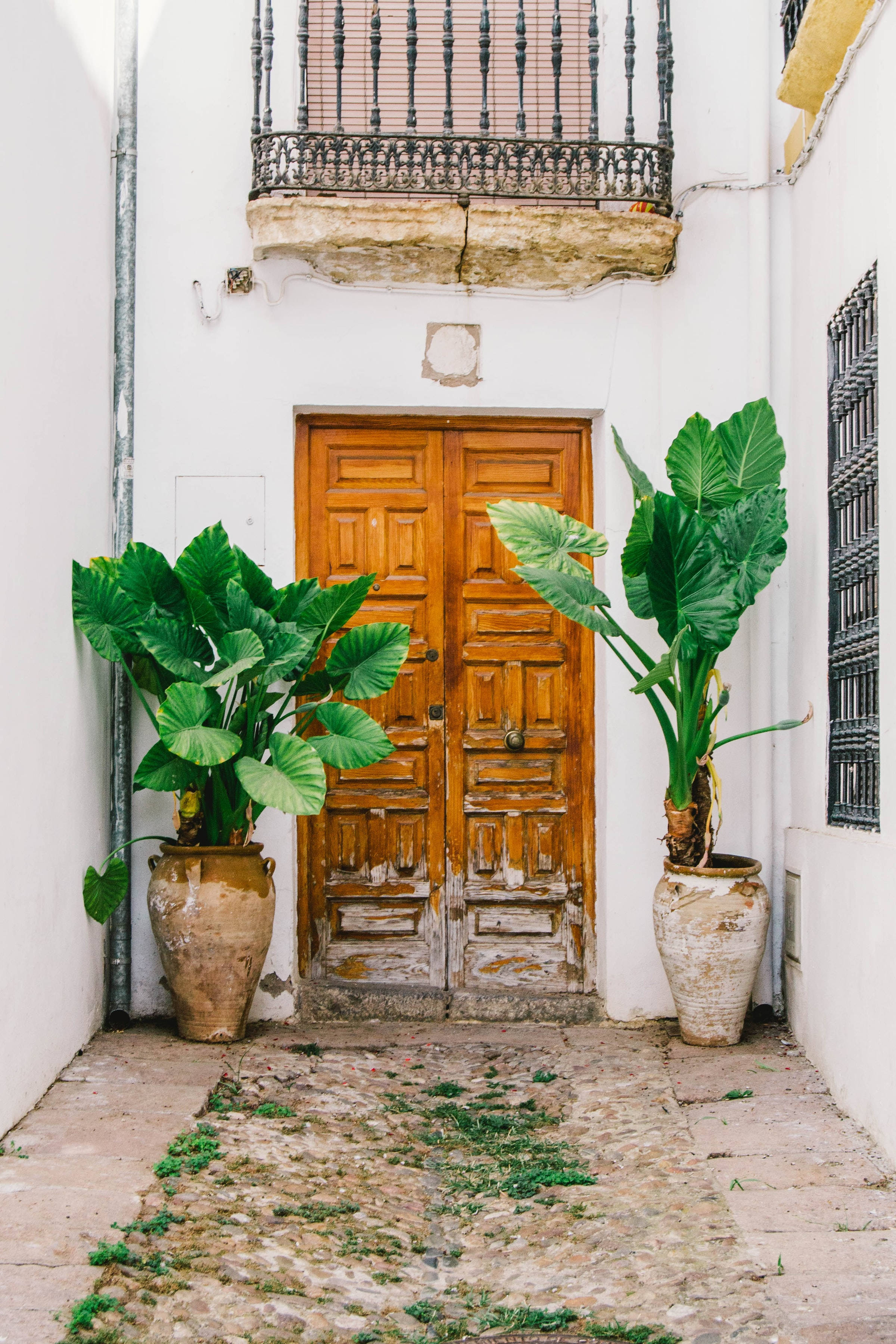 Spanish-Style Wooden Door With Planters Picha ya Ukuta