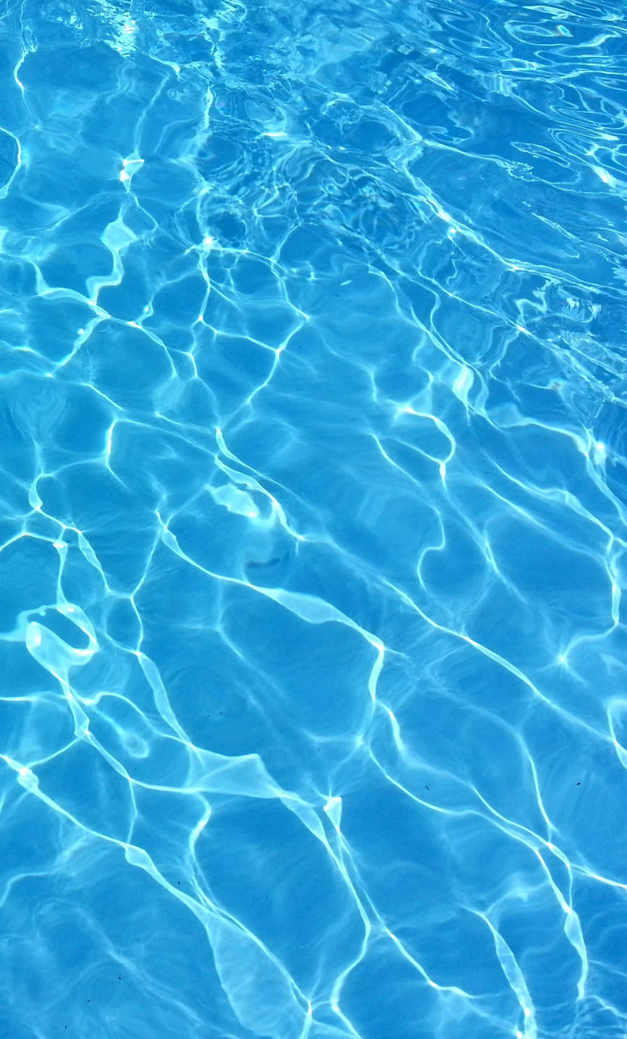 Sparkling blue pool water on a sunny day Picha ya Ukuta