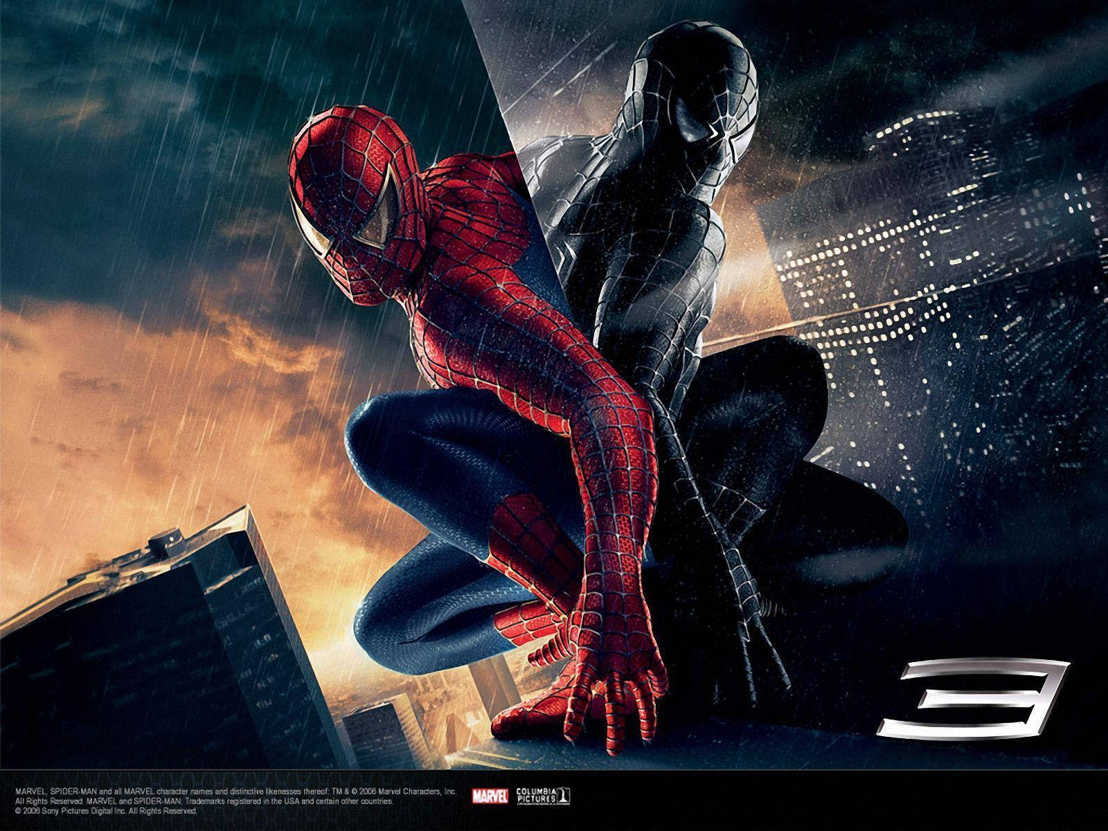 Spiderman Anapanda Ukuta Picha ya Ukuta