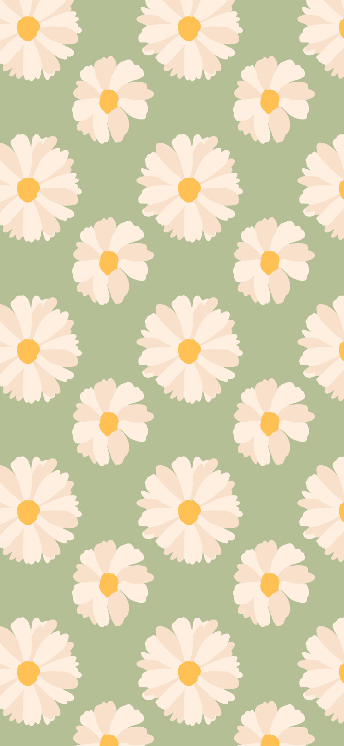 Spring iPhone Daisies Green Picha ya Ukuta