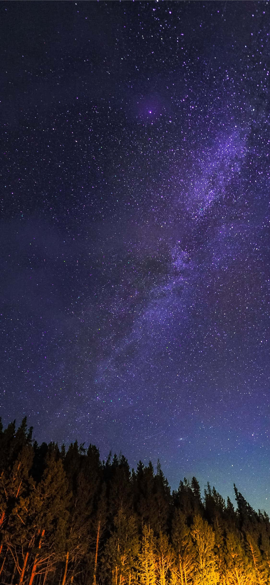 Starry_ Night_ Over_ Forest.JPG Picha ya Ukuta