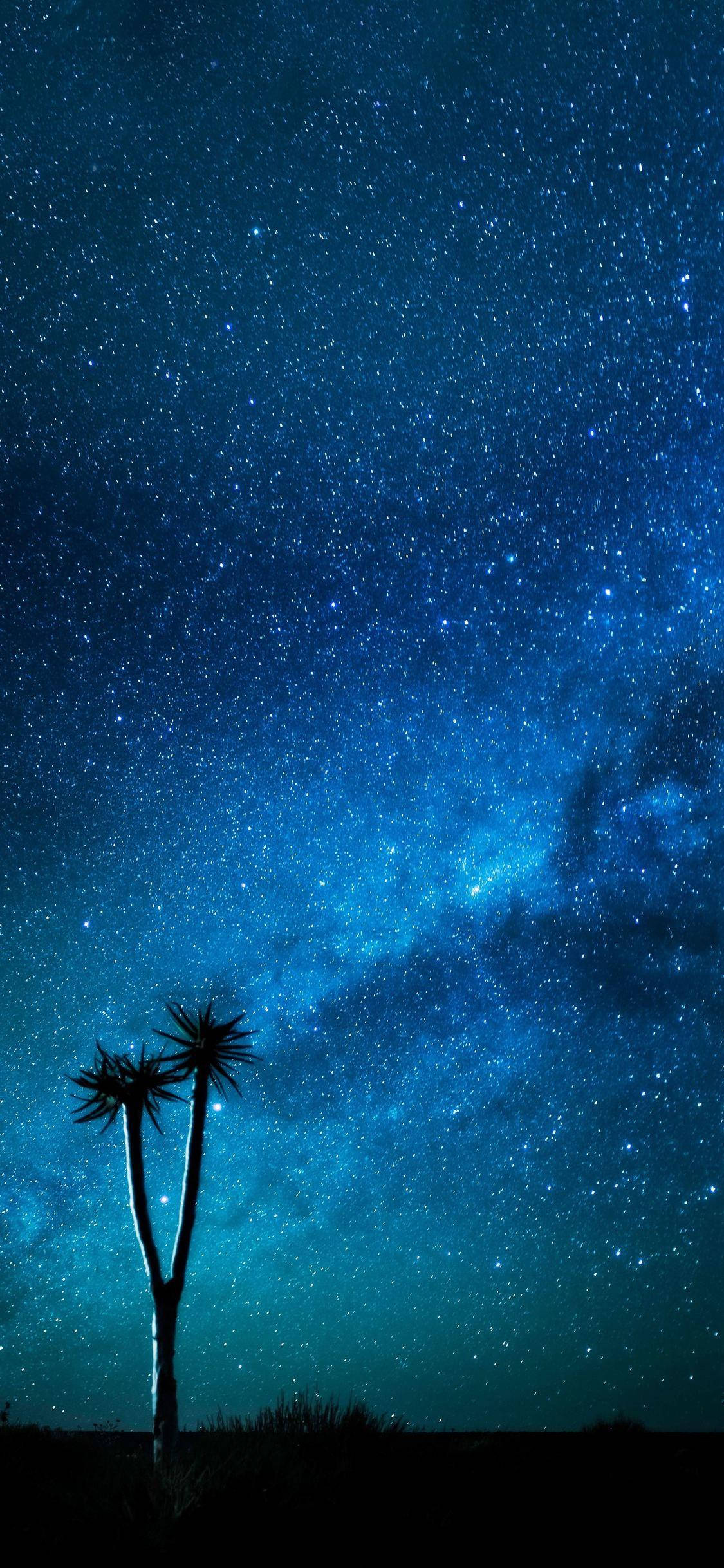 Starry Night Sky Blue iPhone Picha ya Ukuta