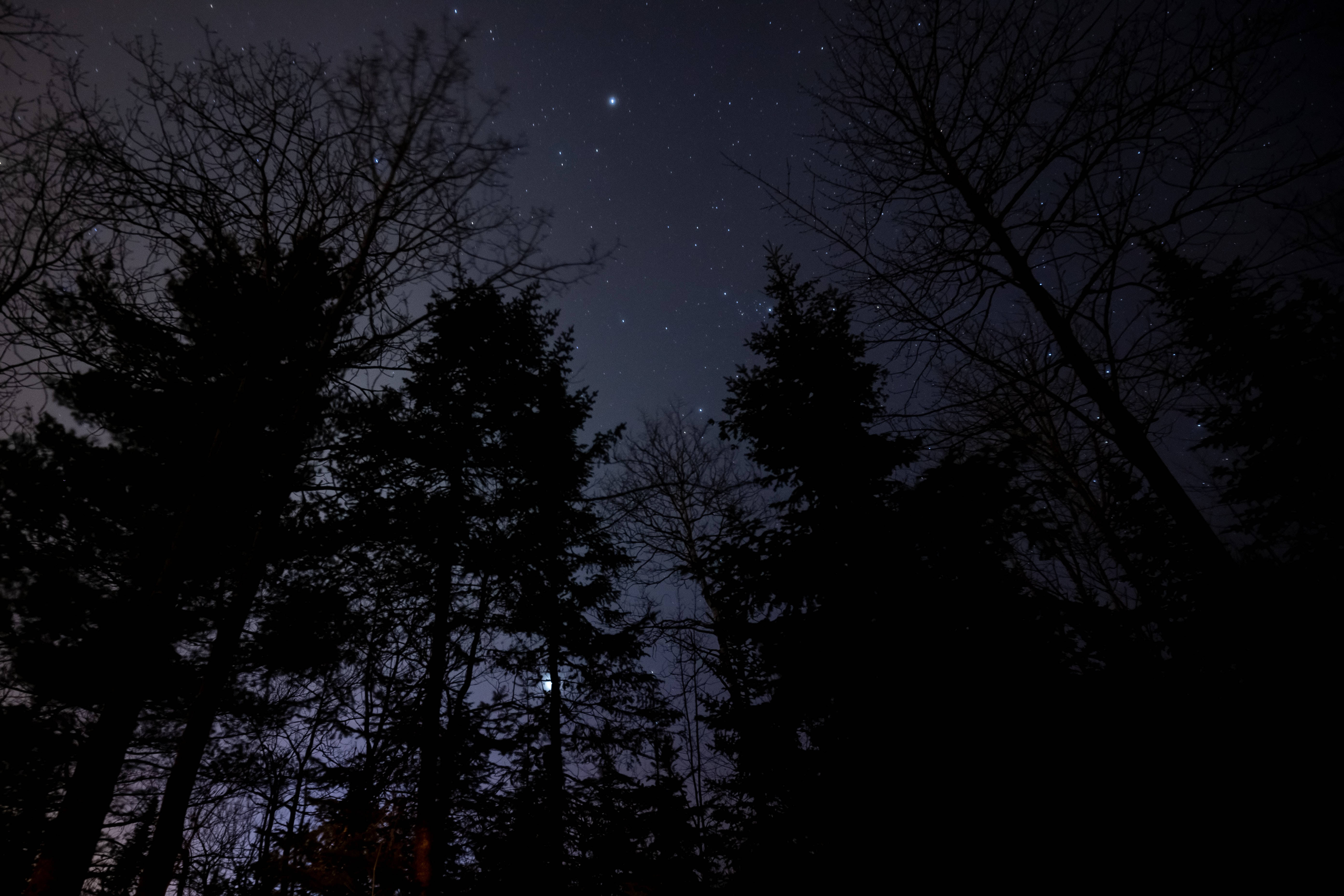 Starry Sky At Night Picha ya Ukuta