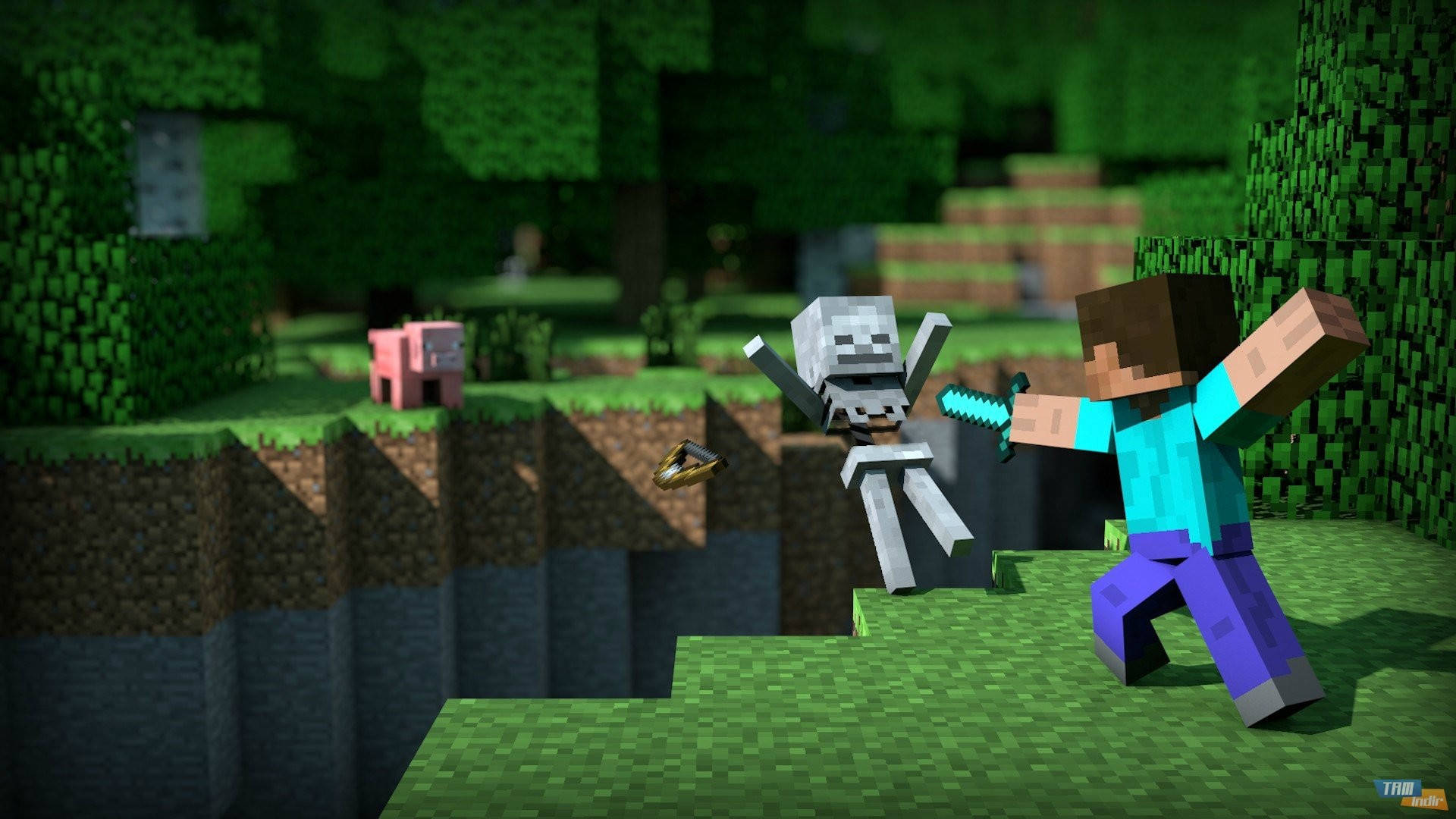 Steve Akipambana na Mifupa Minecraft HD Picha ya Ukuta