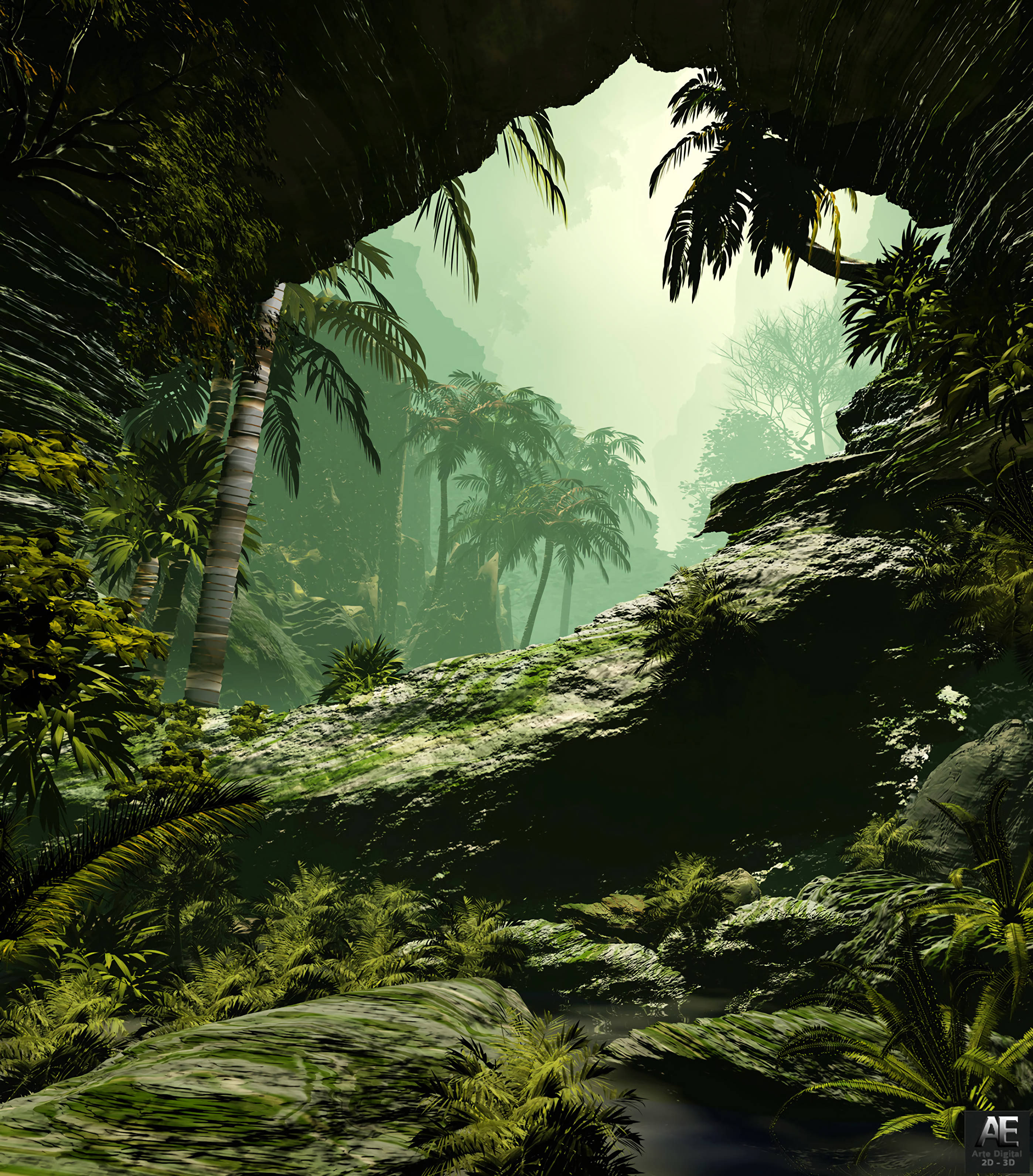 Strolling through the Foggy Jungle Picha ya Ukuta