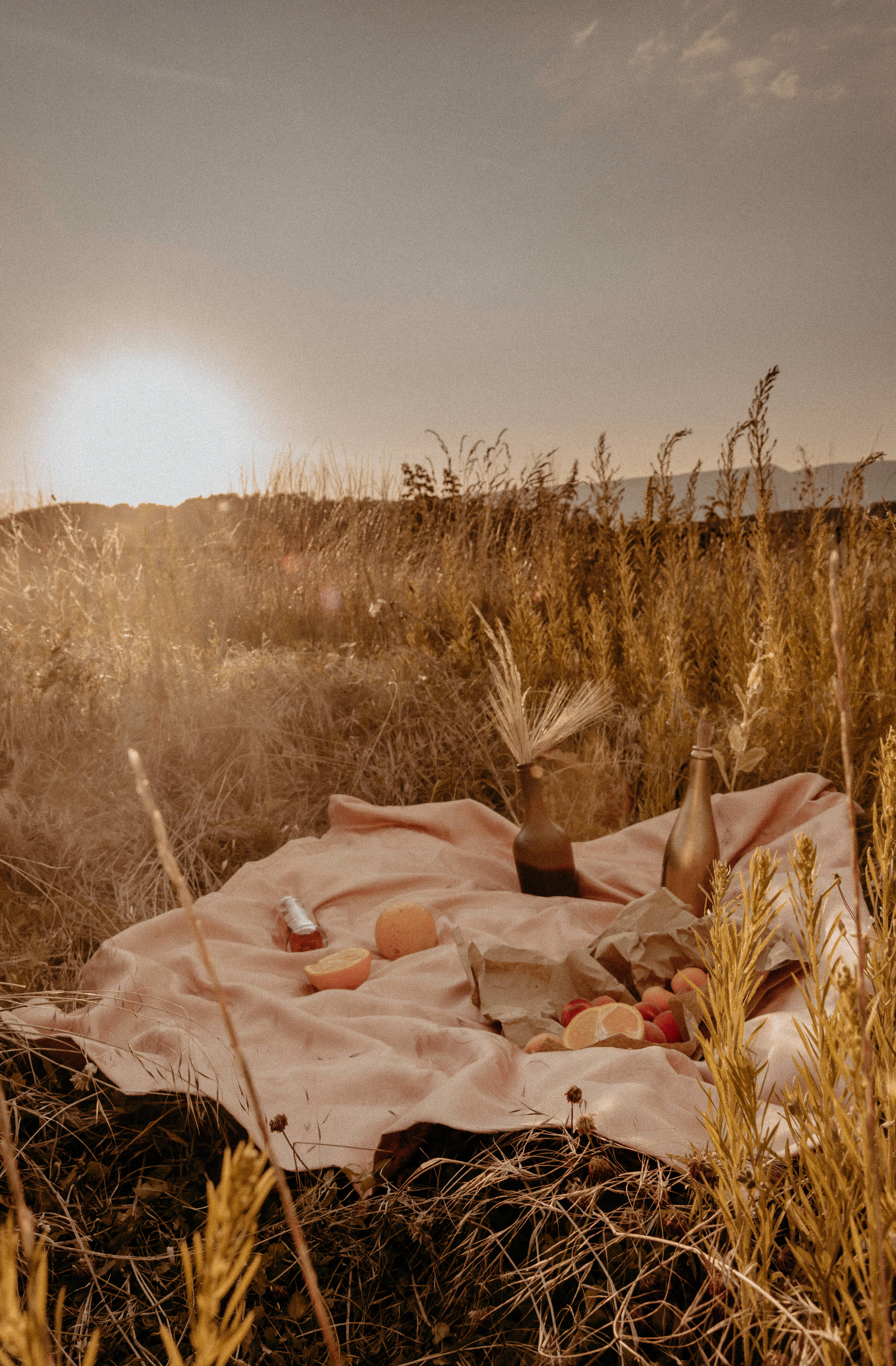 Sunset In Grass And Beige Picha ya Ukuta