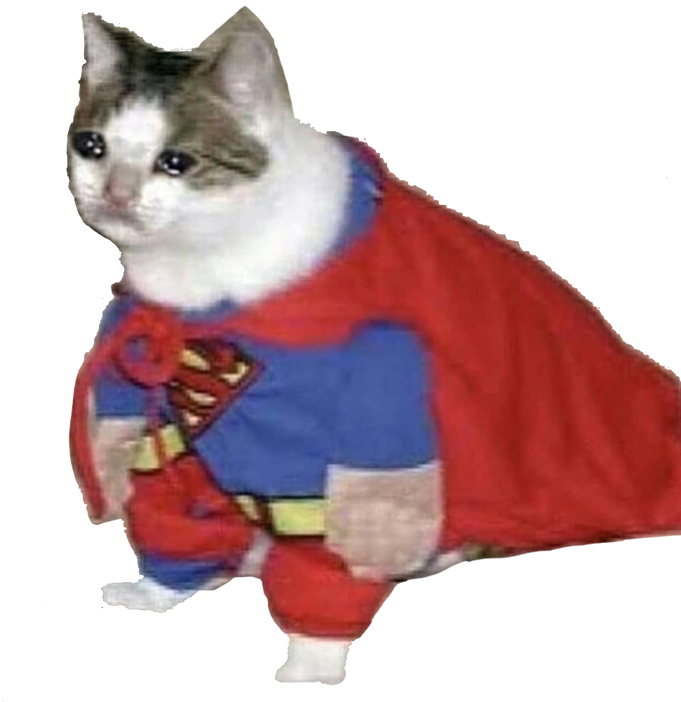 Super Cat_ Shujaa_ Meme.PNG Picha ya Ukuta