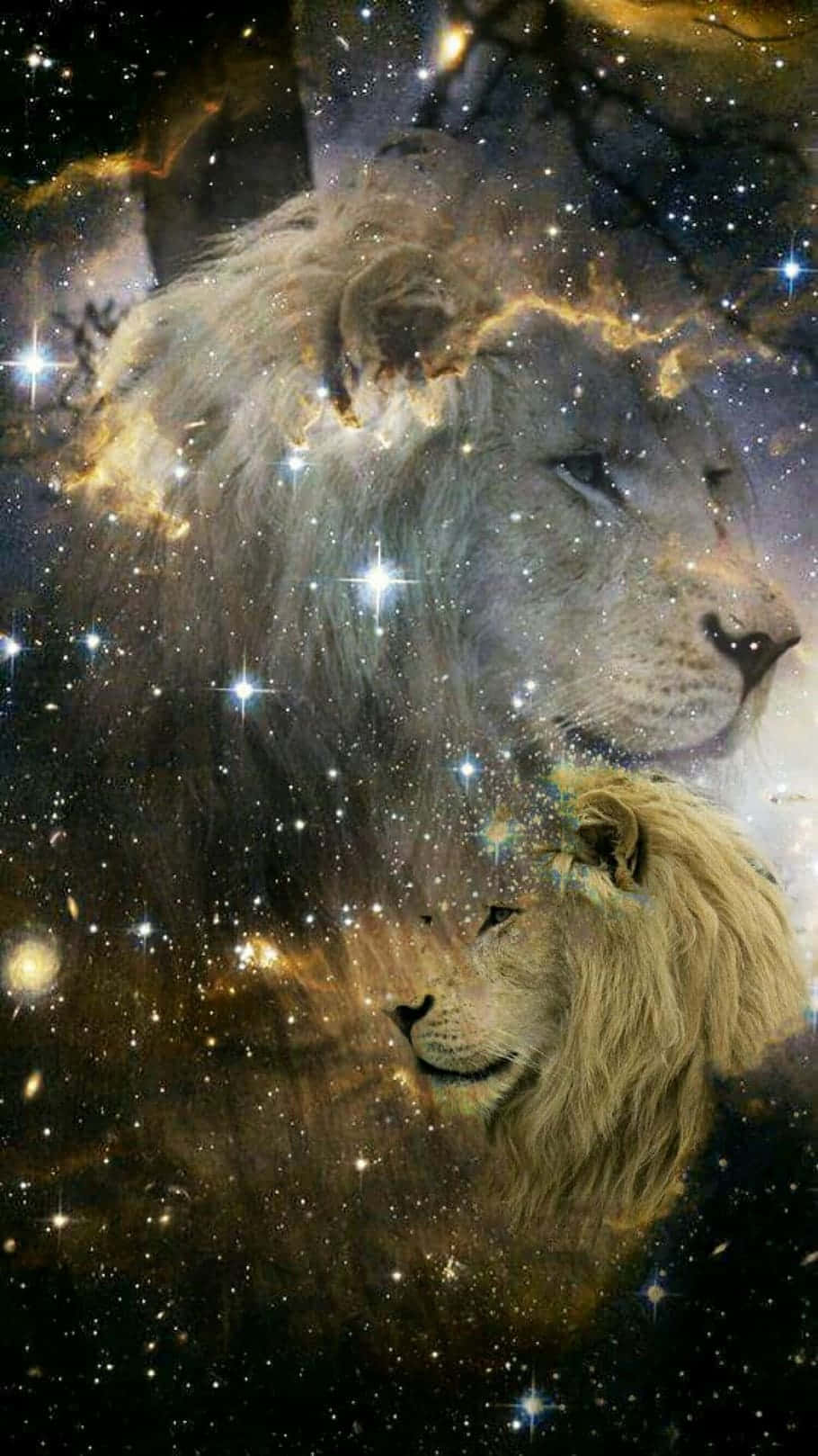 Sura ya Simba wa Galaksi Picha ya Ukuta