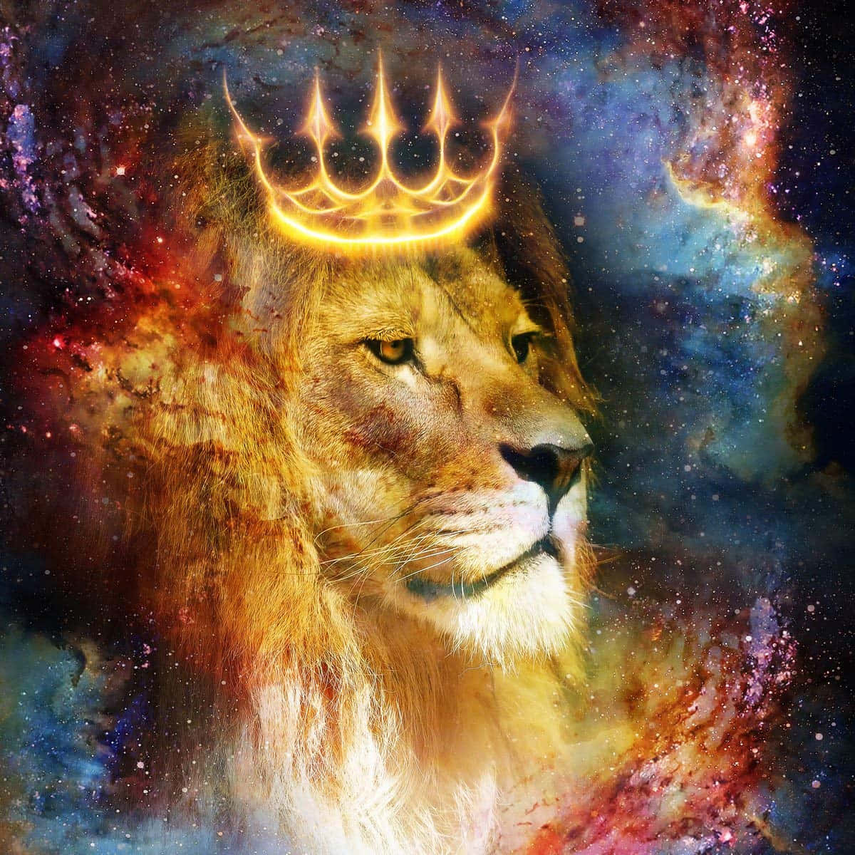 Sura ya Simba wa Galaksi Picha ya Ukuta