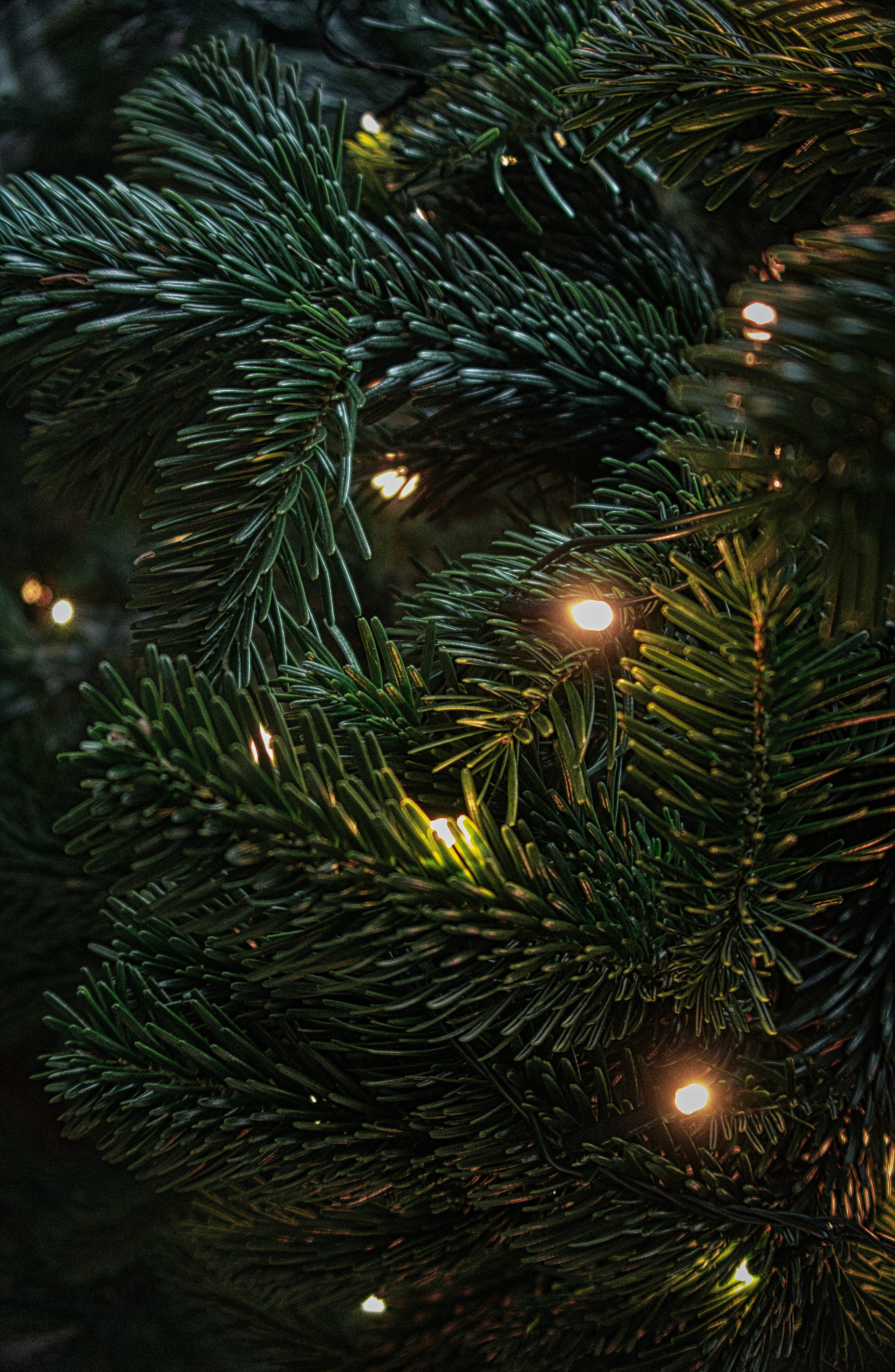 Taa za Krismasi zenye Ubora wa Juu Picha ya Ukuta