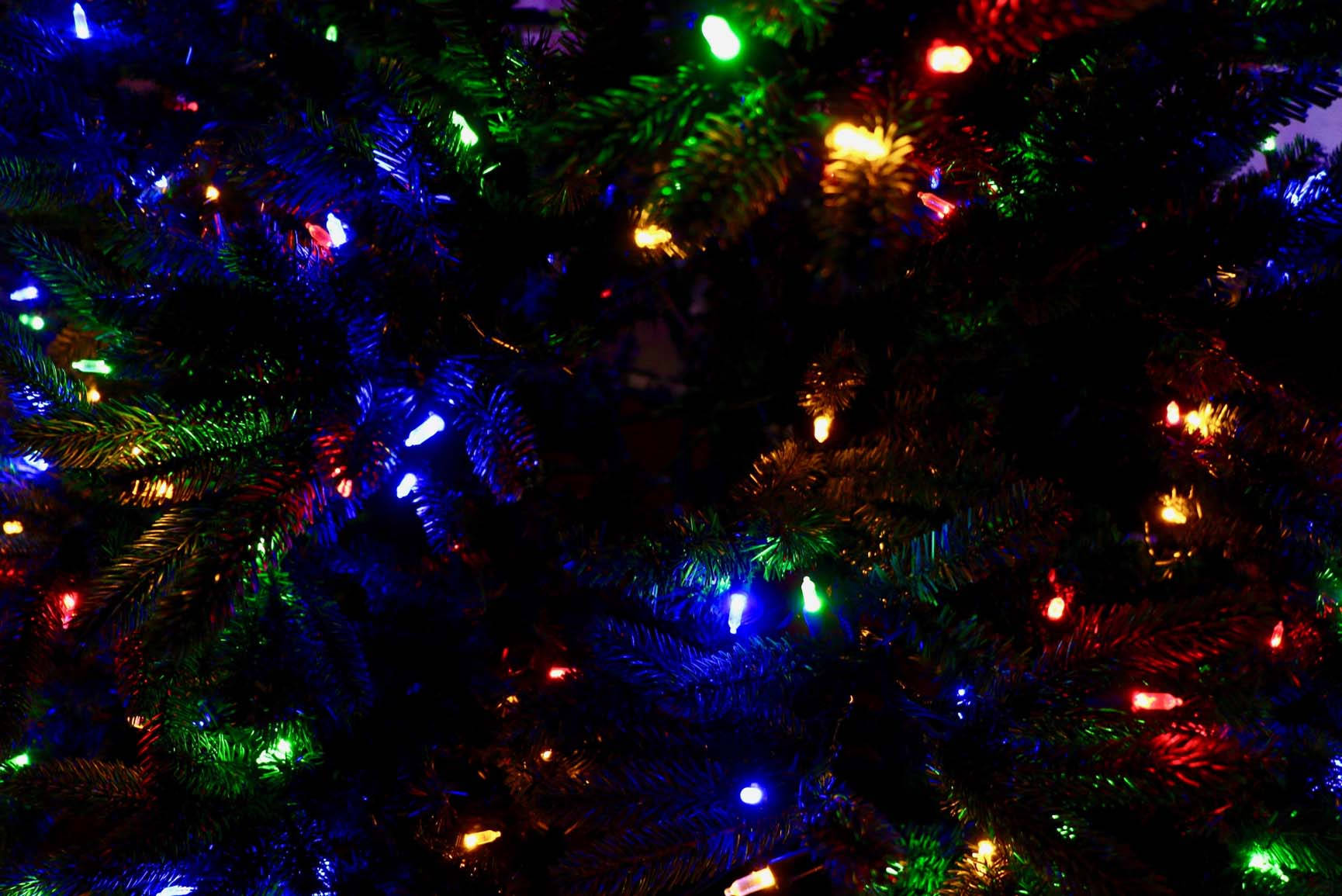 Taa za Krismasi kwa Krismasi ya Kipenzi cha iPhone Picha ya Ukuta