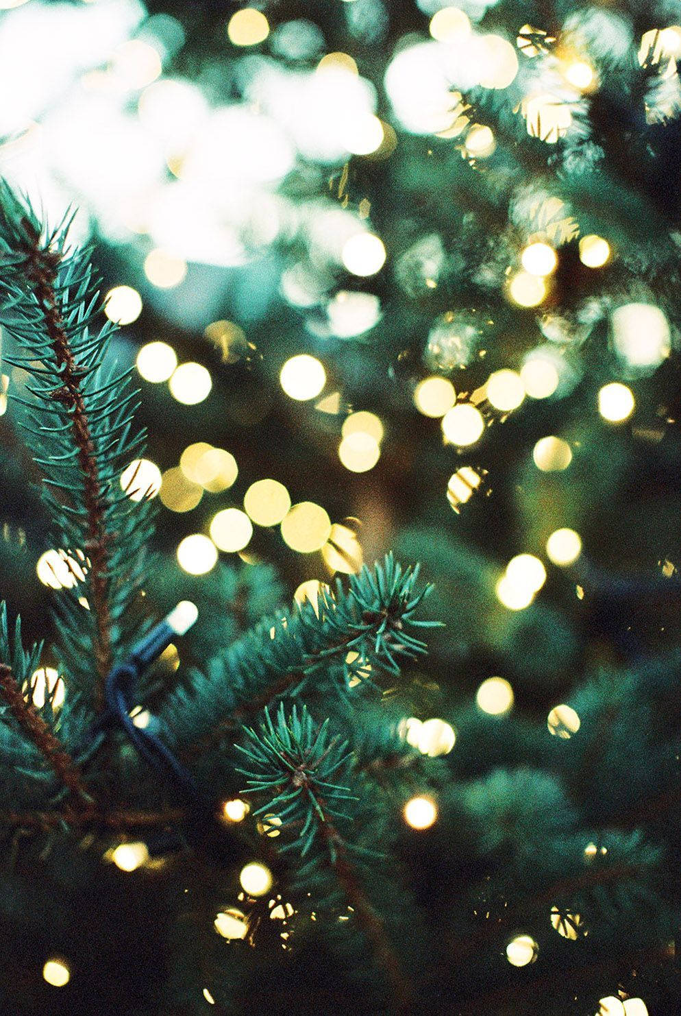 Taa za Krismasi iPhone Zinazofifia Kweli Picha ya Ukuta