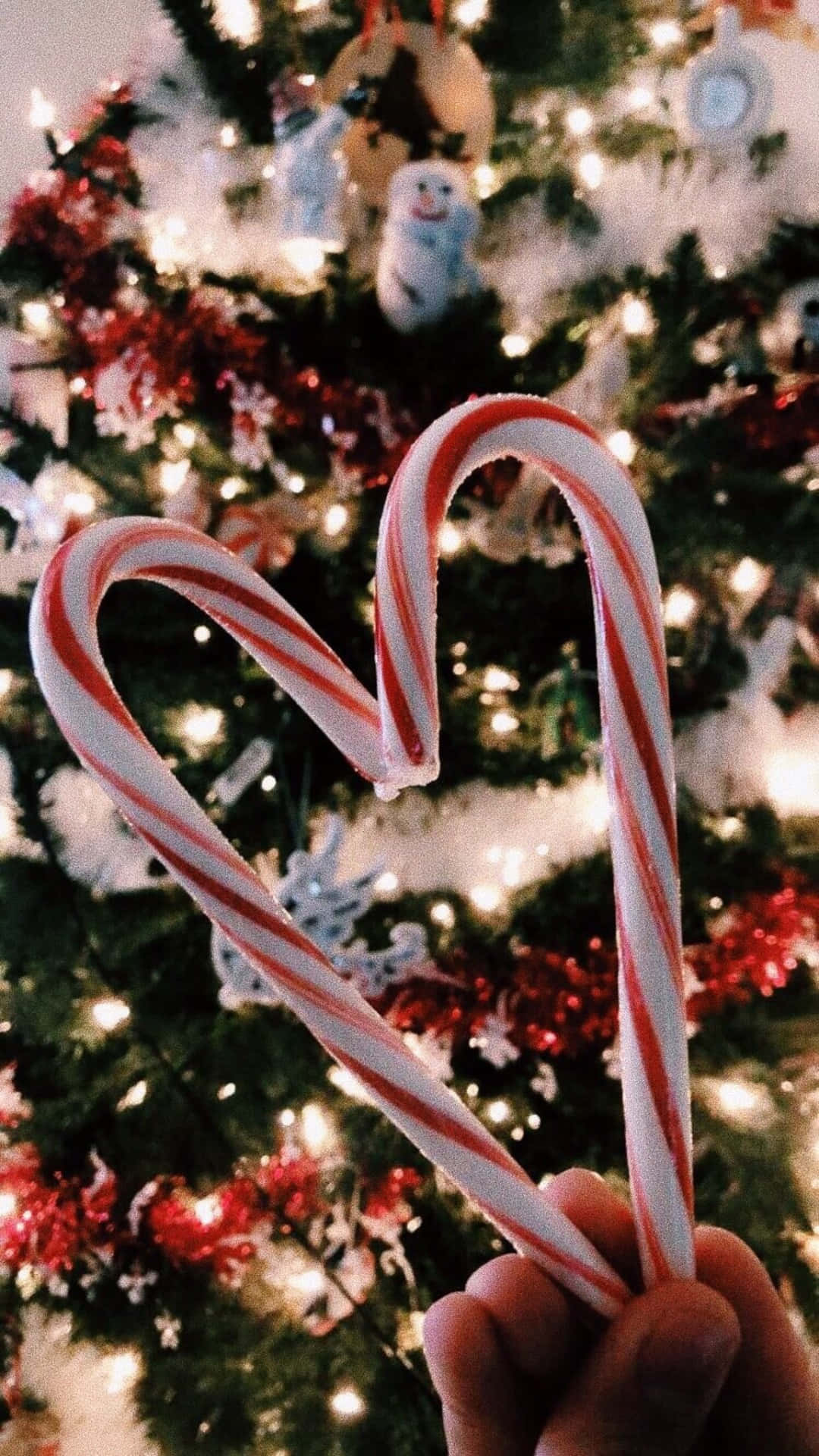 Tafuta furaha ya Krismasi na Aesthetic ya Krismasi! Picha ya Ukuta
